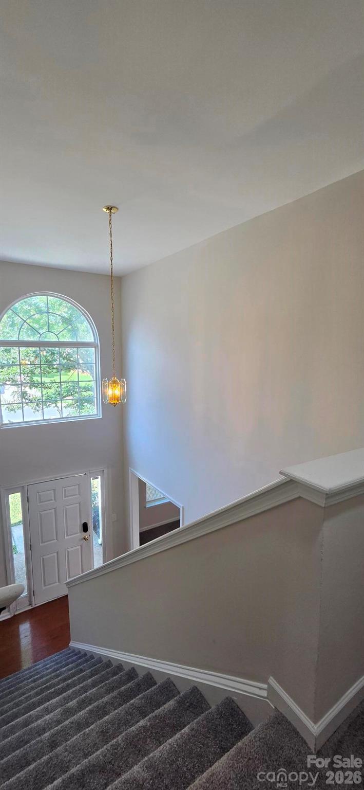 5708 Twin Brook Drive Property Photo 12