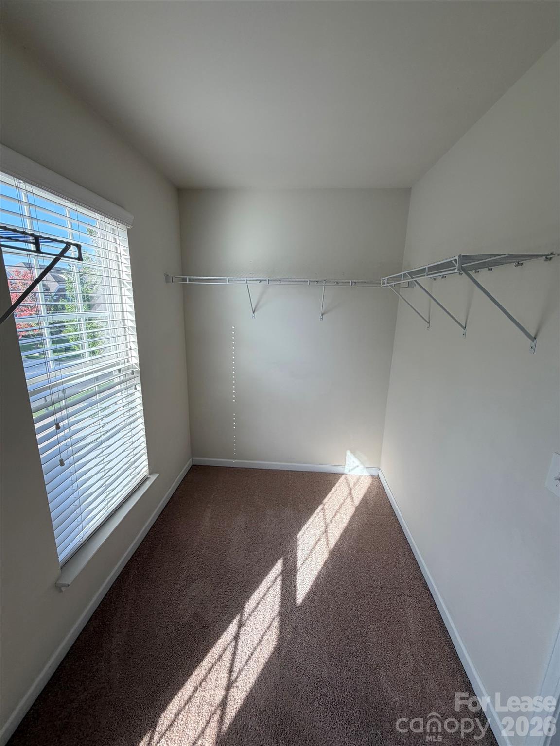 6719 Coral Rose Road Property Photo 21