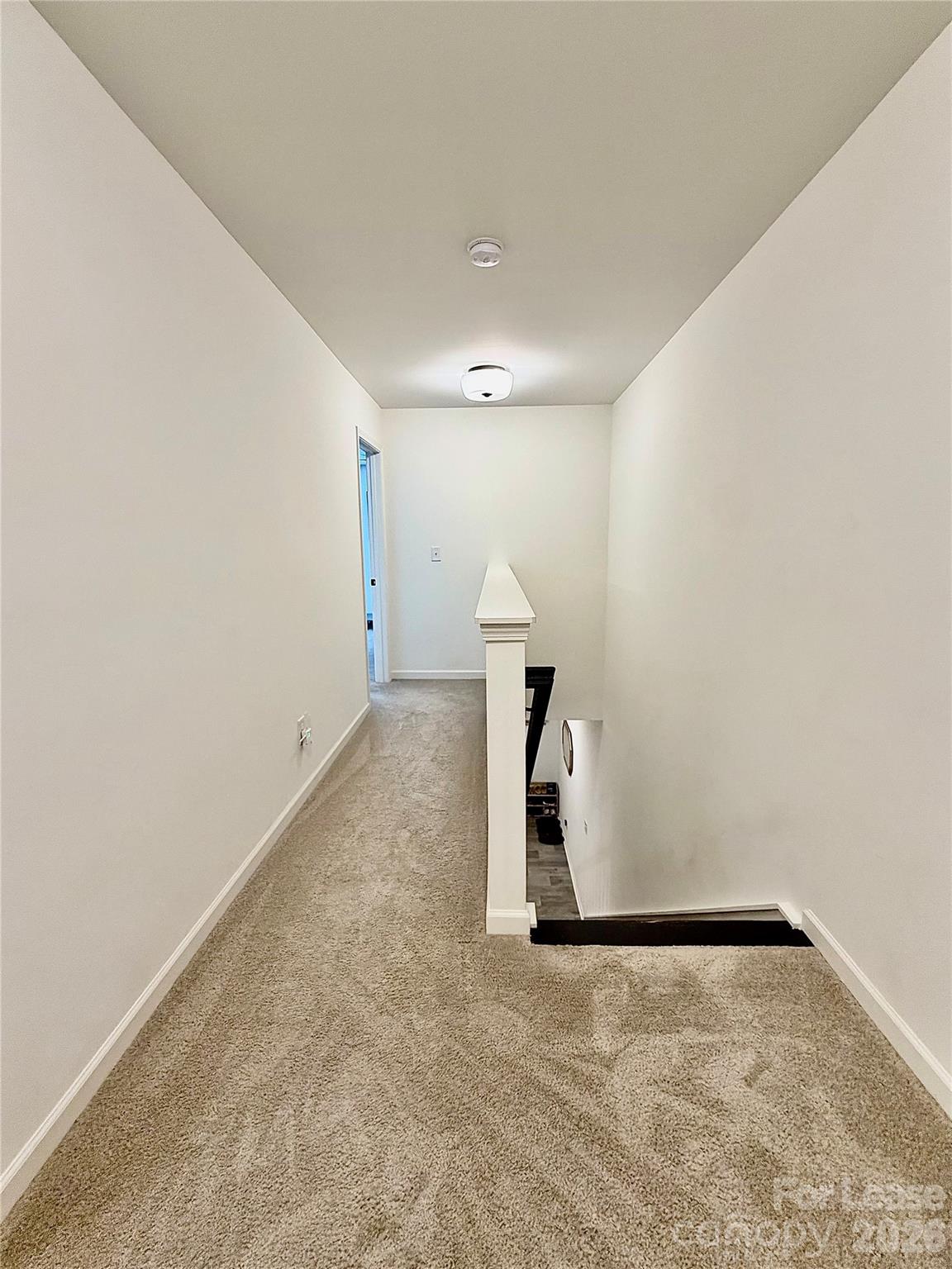 12029 Basking Drive Property Photo 14