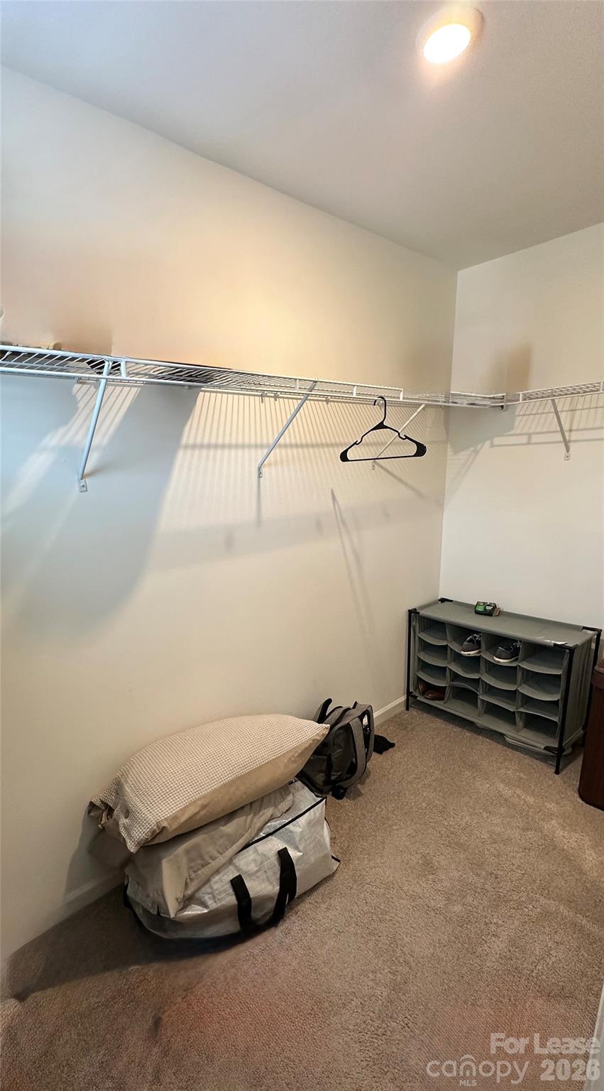 12029 Basking Drive Property Photo 17