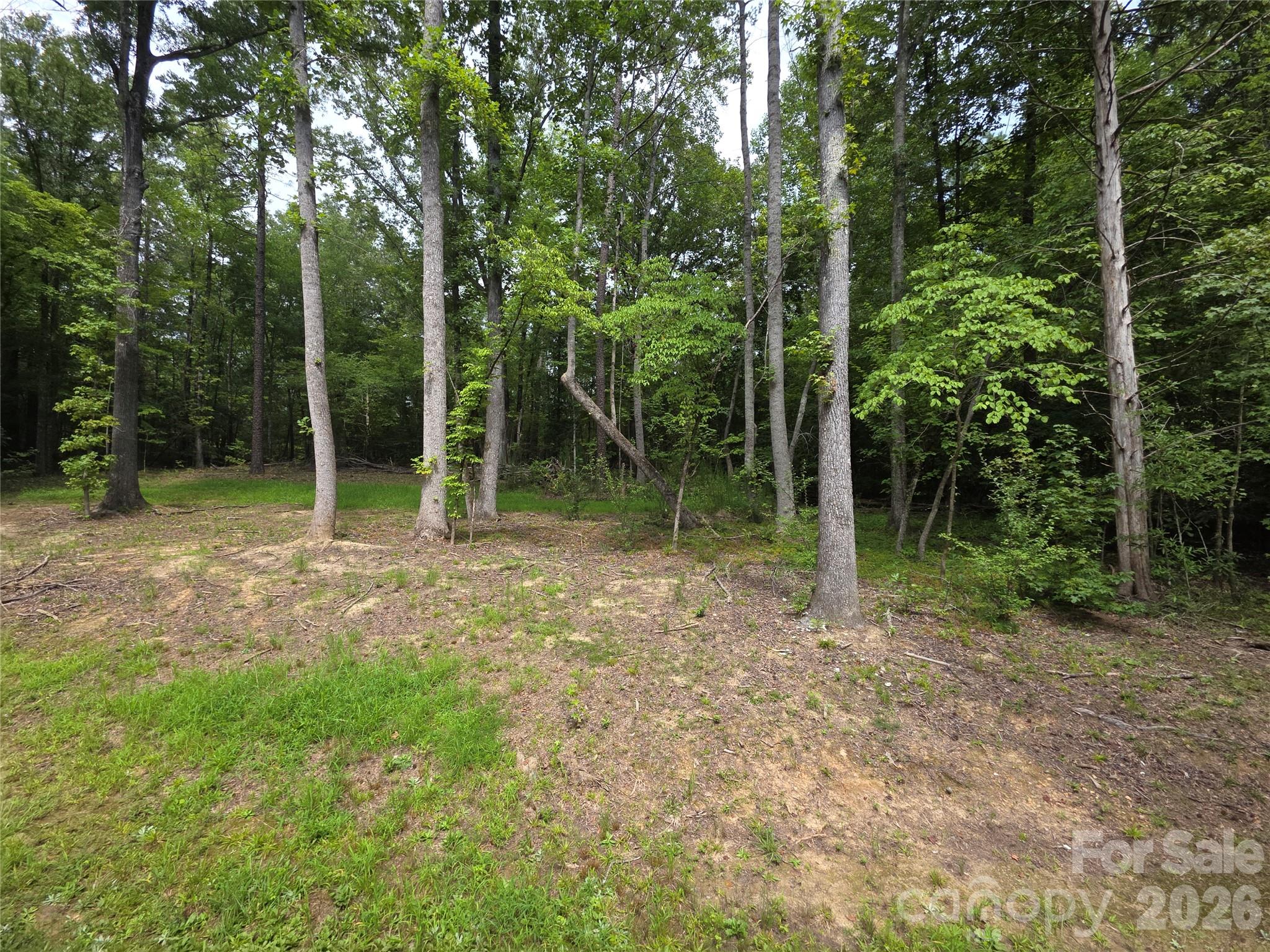 2522 Lazy Oak Drive Property Photo 20