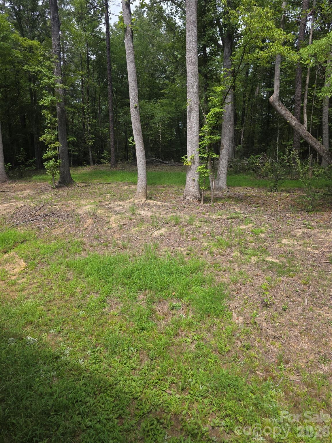 2522 Lazy Oak Drive Property Photo 21