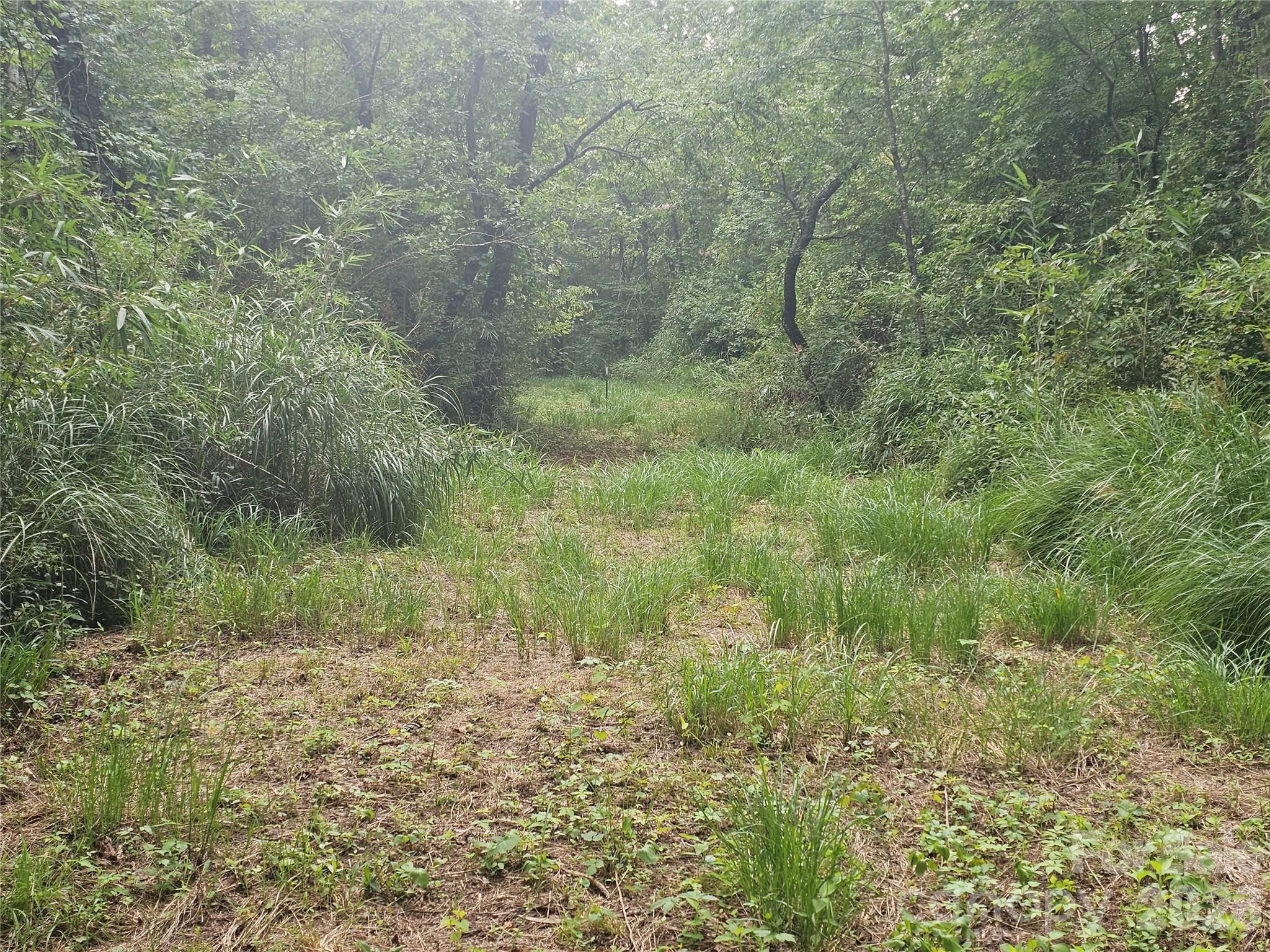 0 Us 70 Highway Property Photo 7