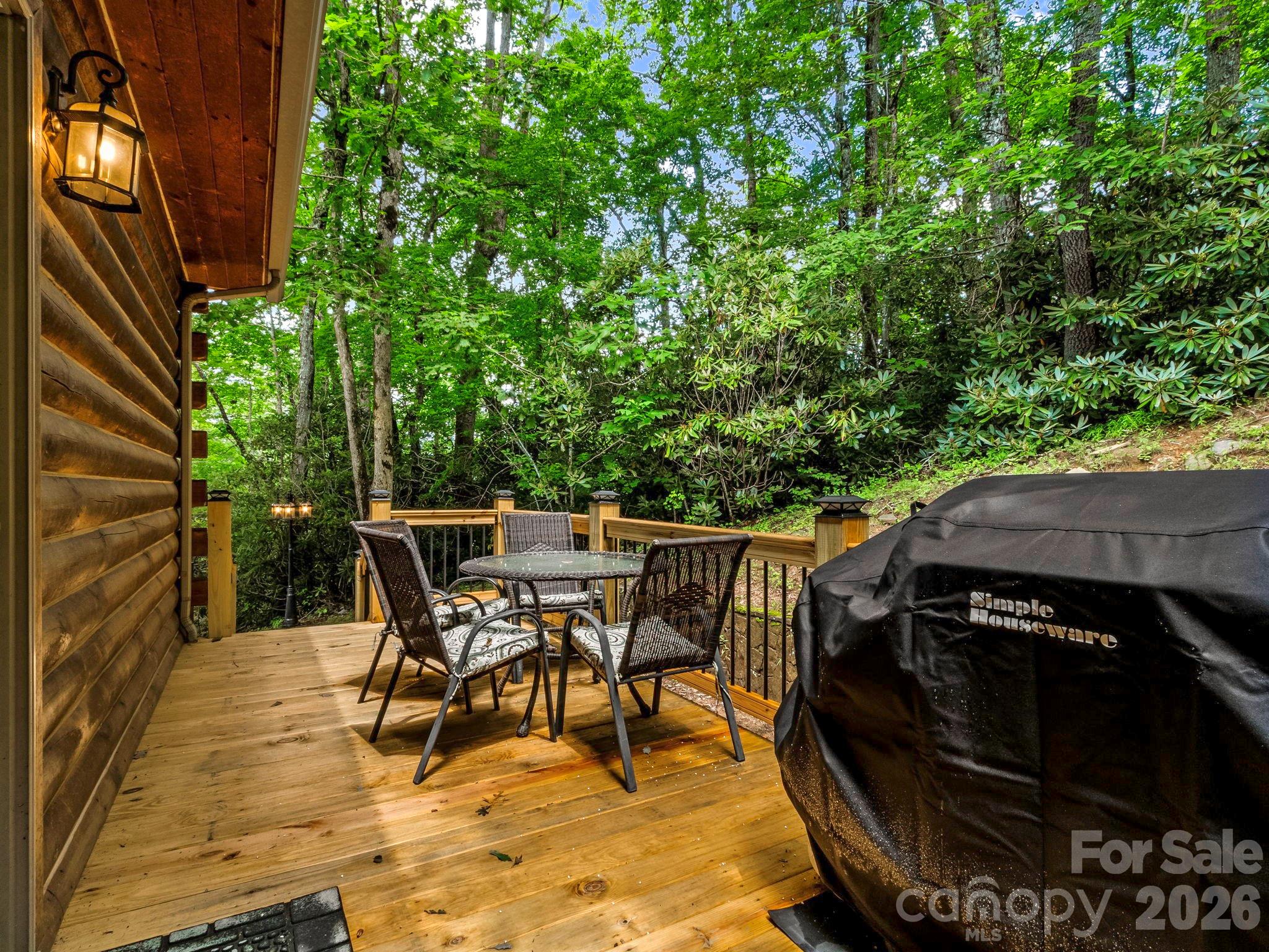 475 S Toe River Road Property Photo 45