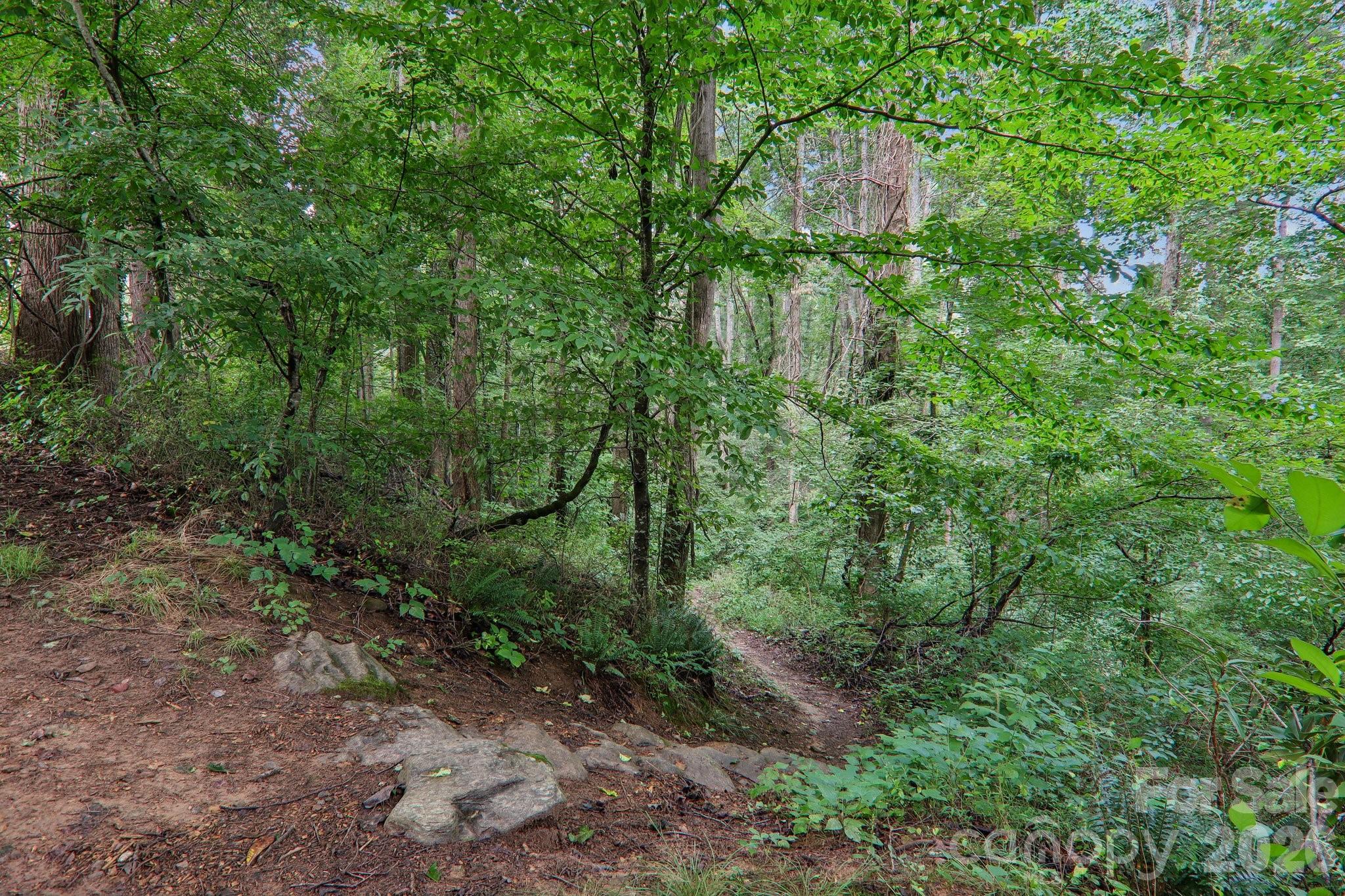 100 Vista Lake Drive 2 Property Photo 42