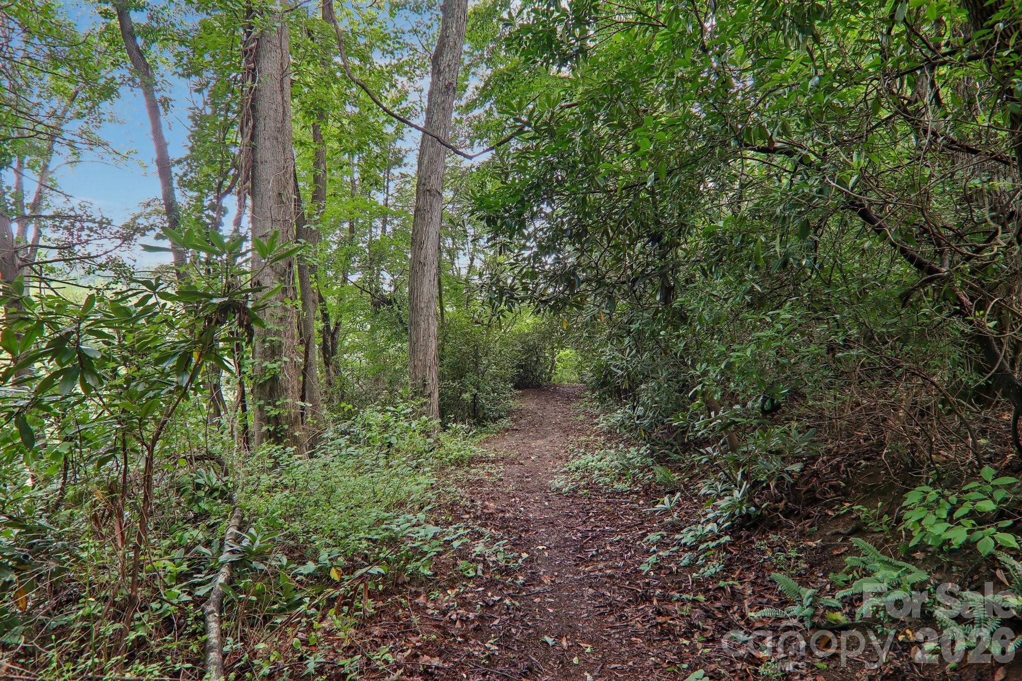 100 Vista Lake Drive 2 Property Photo 43