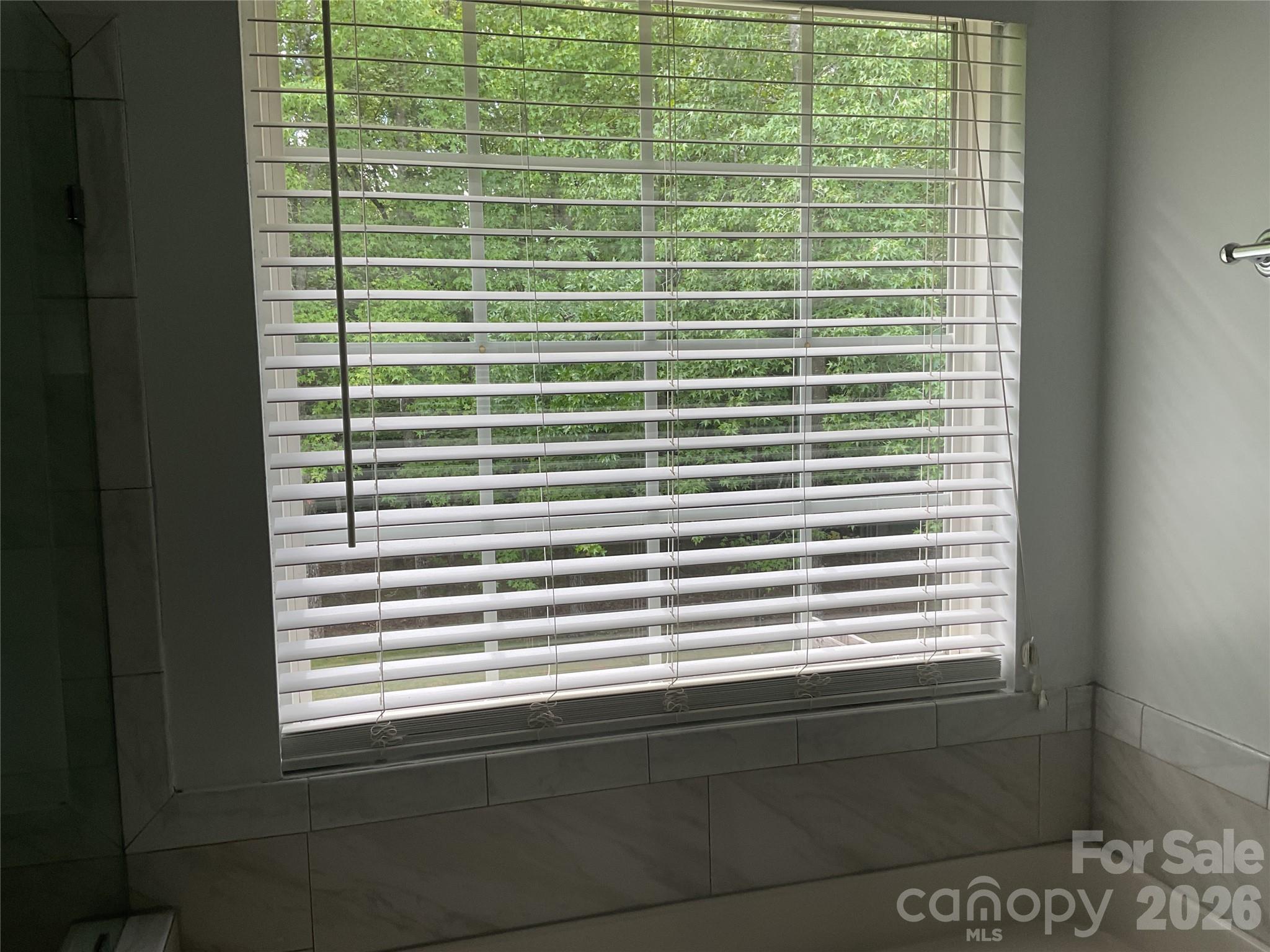 935 Wind Carved Lane Property Photo 29