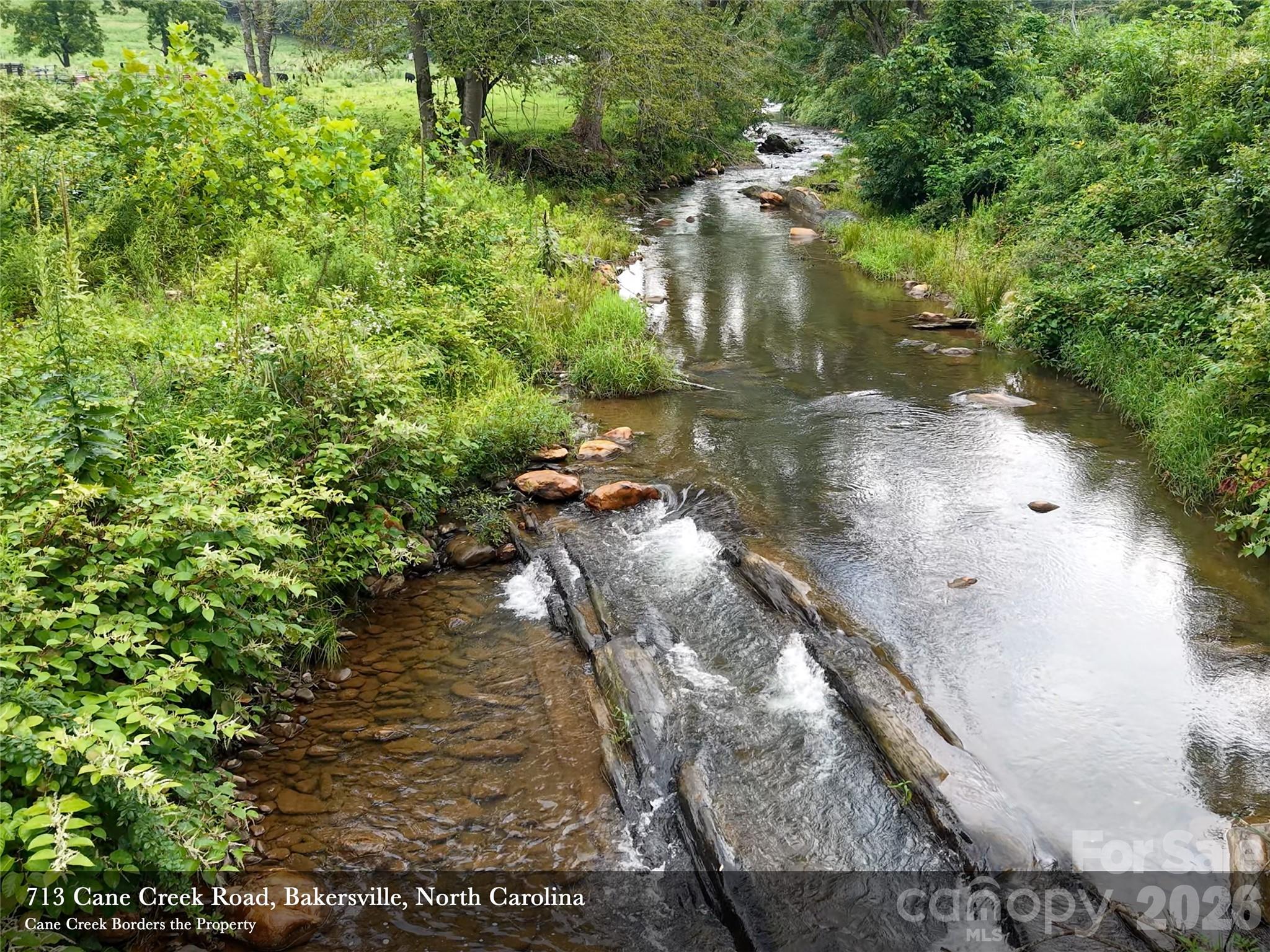 713 Cane Creek Road Property Photo 4