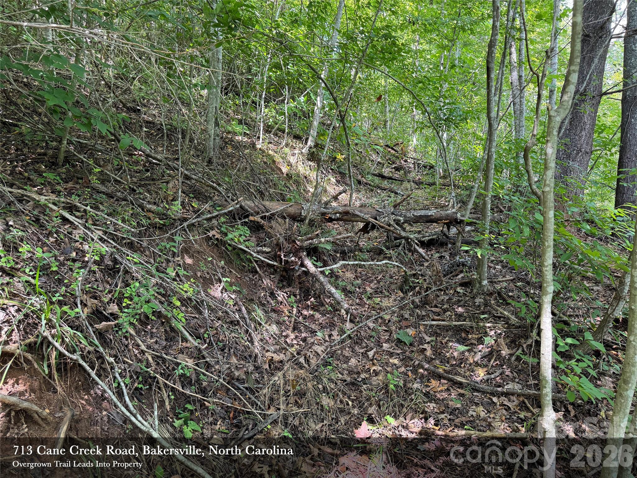 713 Cane Creek Road Property Photo 6