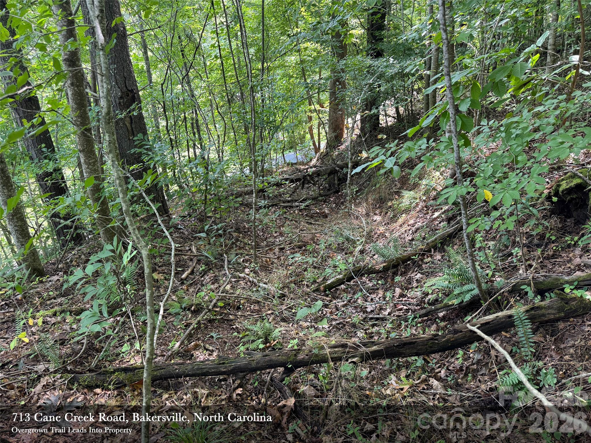 713 Cane Creek Road Property Photo 7