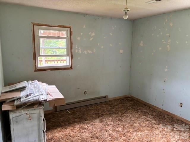 993 Coney Island Road Property Photo 13