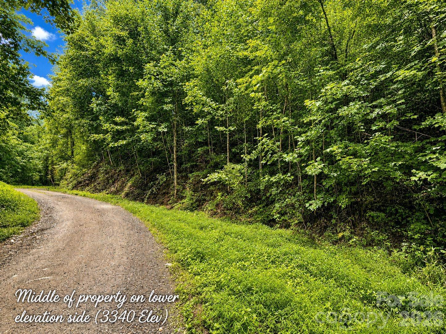 1000 Yonah Trail 7 Property Photo 2