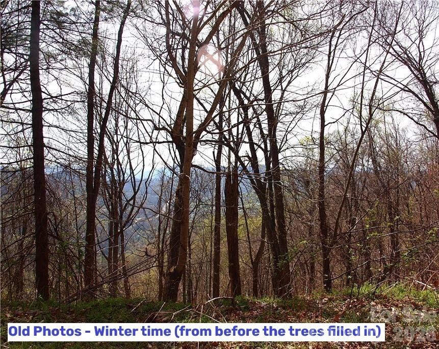 1000 Yonah Trail 7 Property Photo 3
