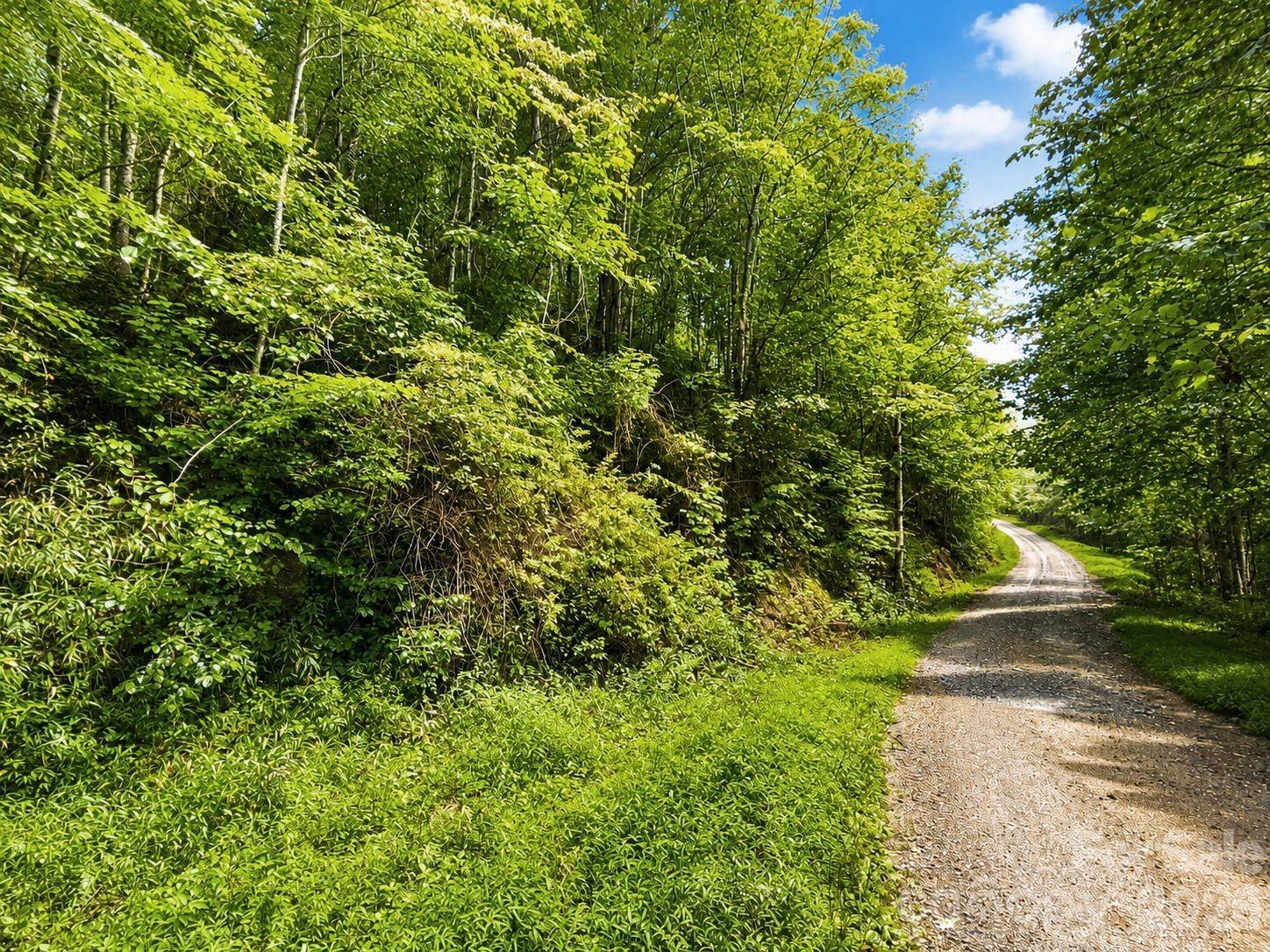 1000 Yonah Trail 7 Property Photo 4