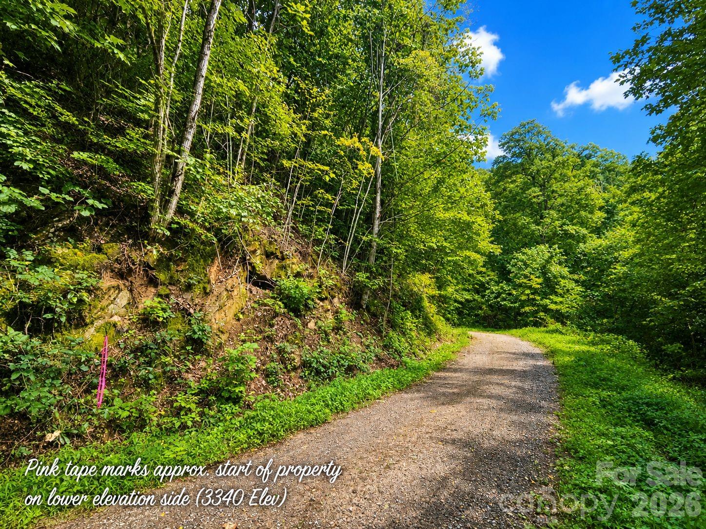 1000 Yonah Trail 7 Property Photo 6