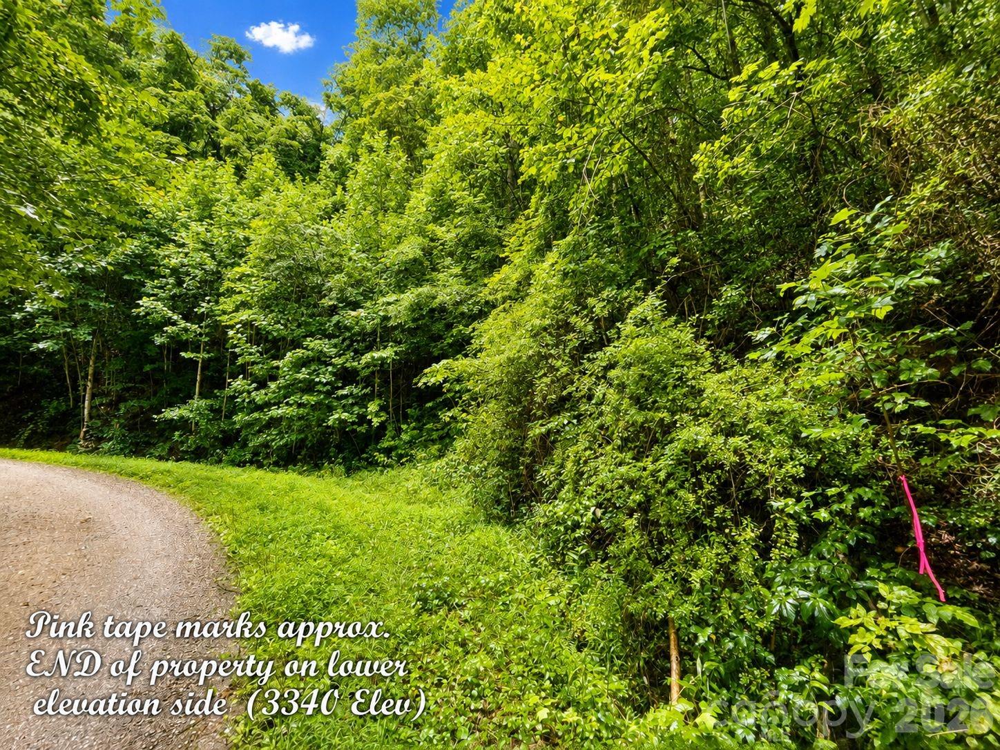 1000 Yonah Trail 7 Property Photo 7