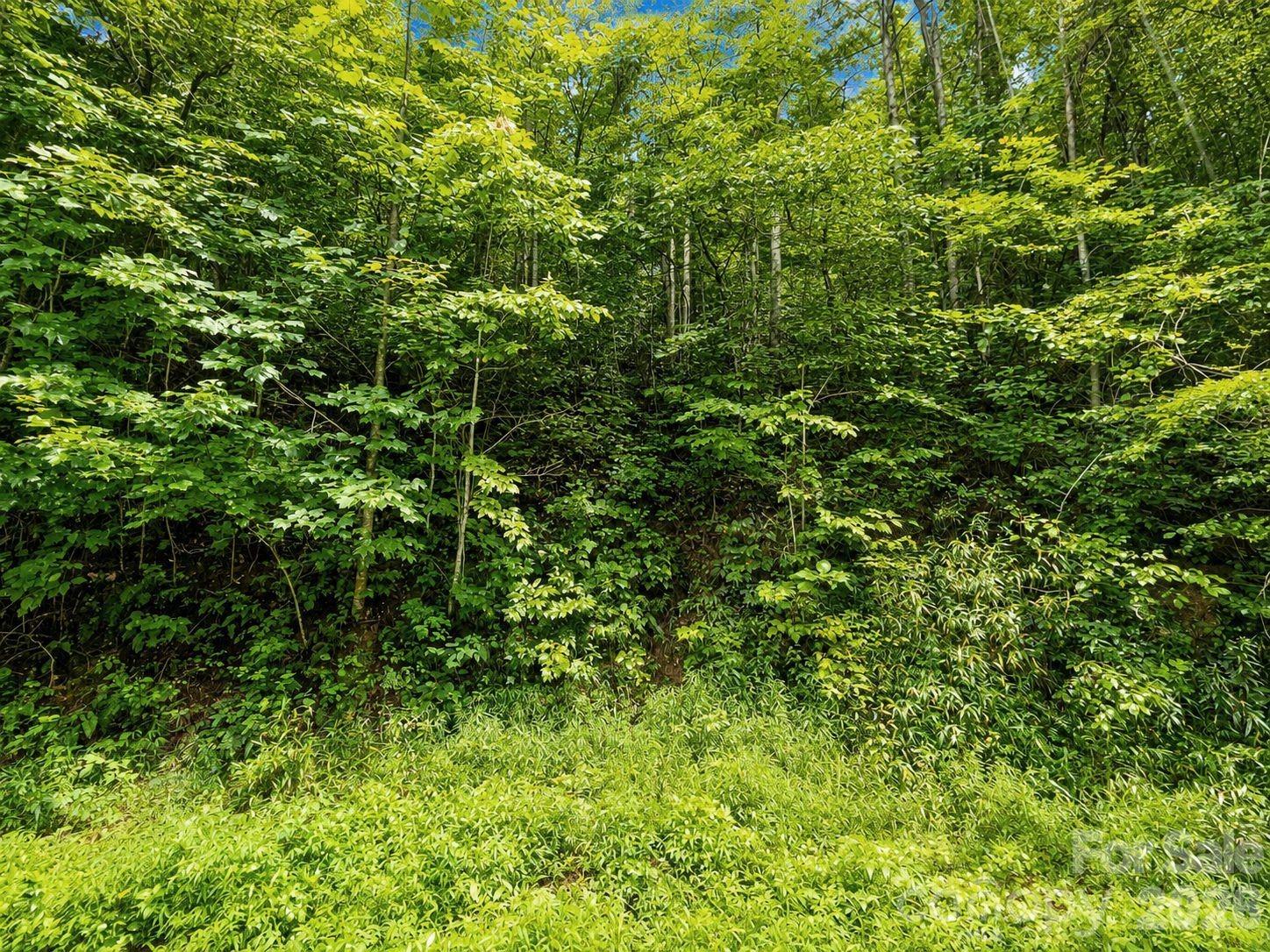1000 Yonah Trail 7 Property Photo 8