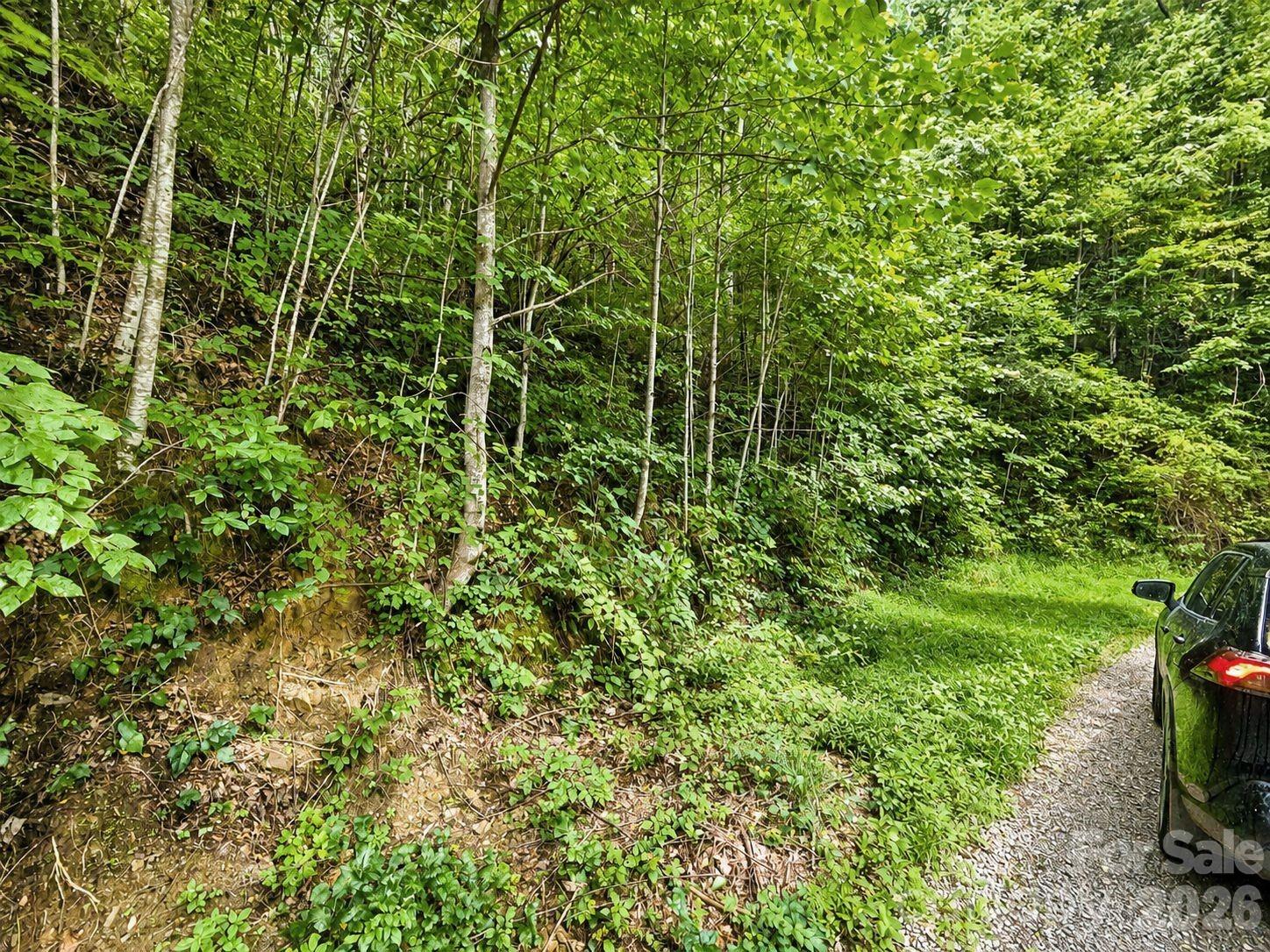 1000 Yonah Trail 7 Property Photo 9