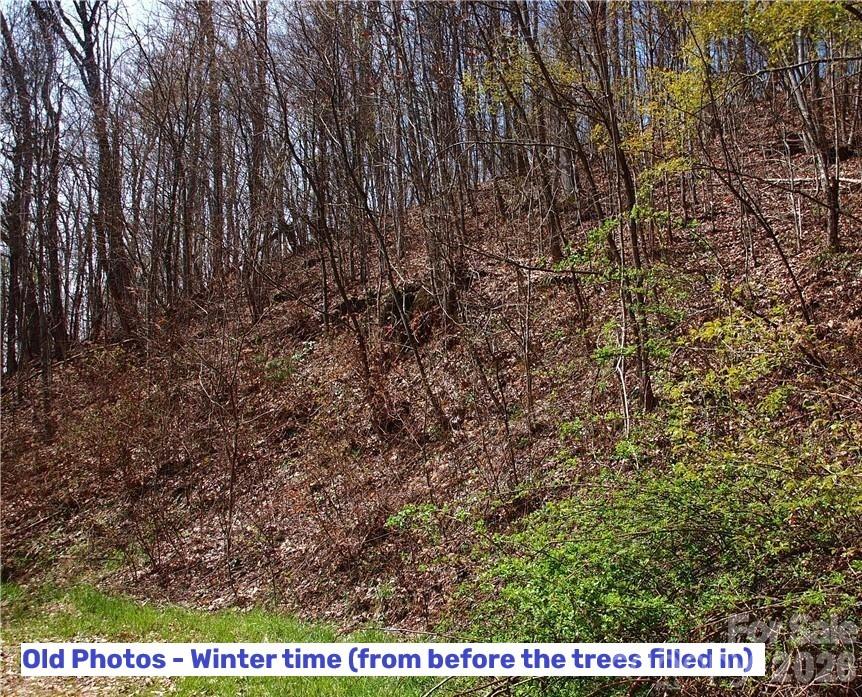 1000 Yonah Trail 7 Property Photo 11