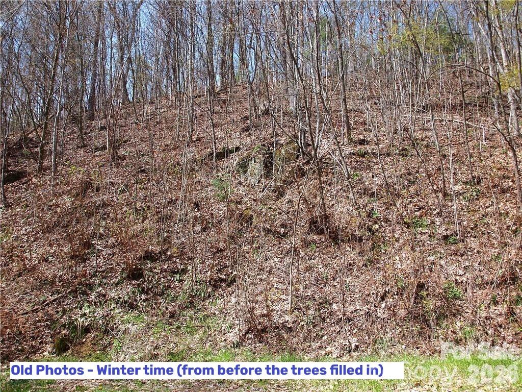 1000 Yonah Trail 7 Property Photo 12