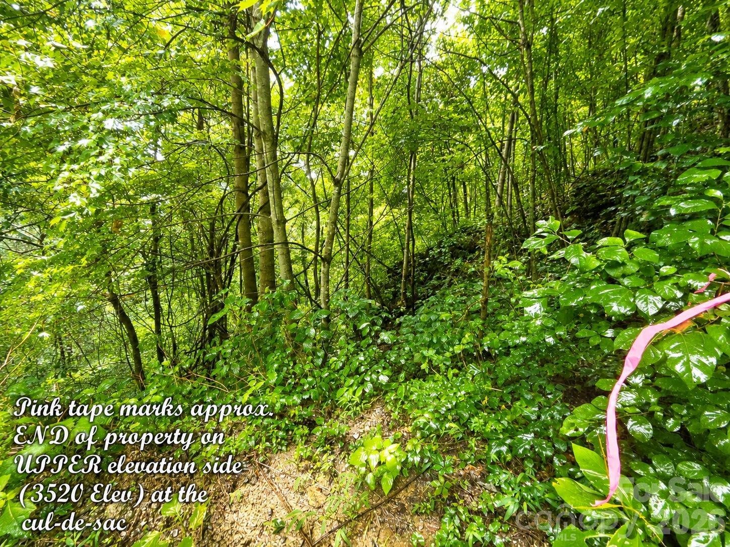 1000 Yonah Trail 7 Property Photo 15