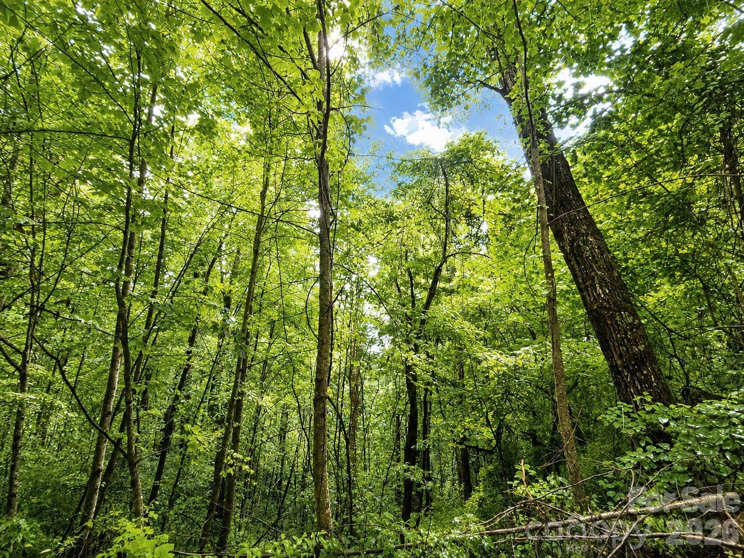 1000 Yonah Trail 7 Property Photo 16