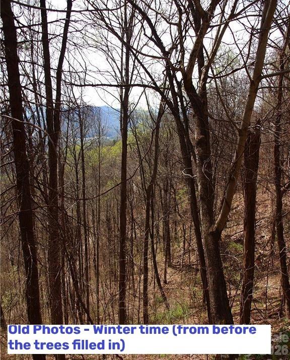 1000 Yonah Trail 7 Property Photo 17