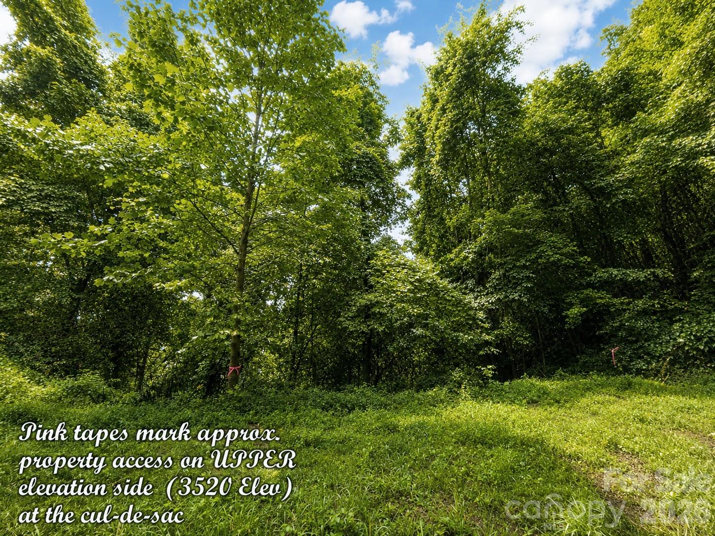 1000 Yonah Trail 7 Property Photo 18