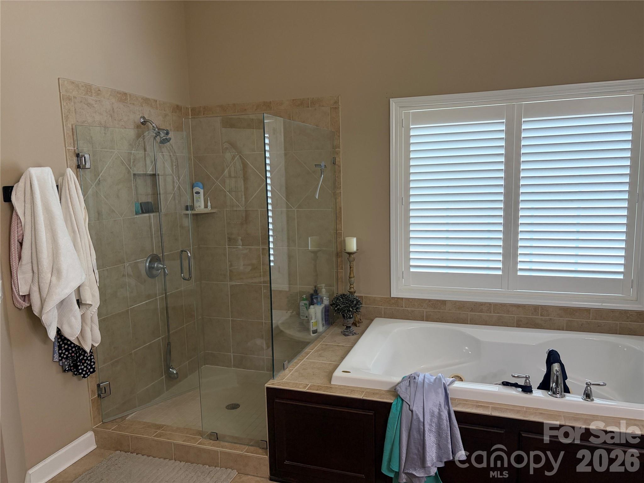 17228 W Marbella Lane Property Photo 20