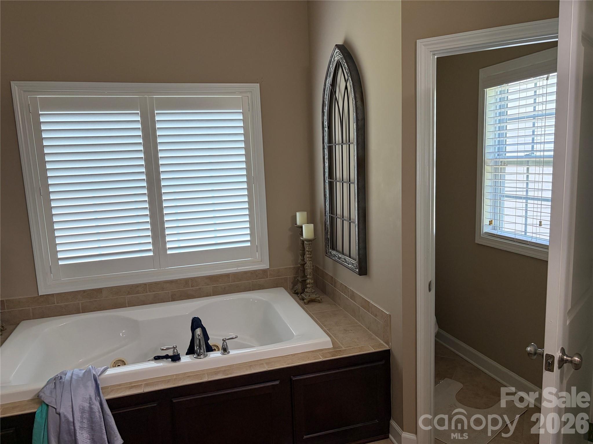 17228 W Marbella Lane Property Photo 21