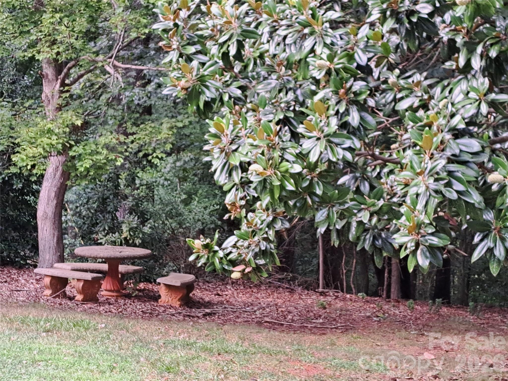 123 Softwind Lane Property Photo 40