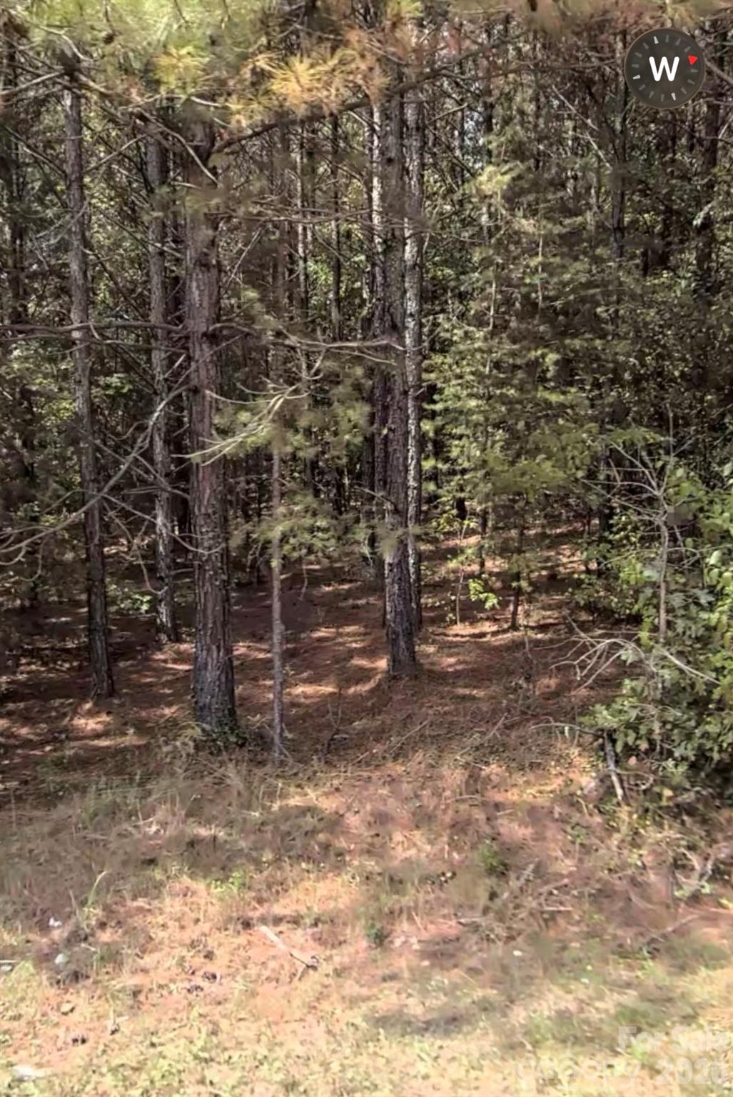 0 Crowders Mountain Road Property Photo 2
