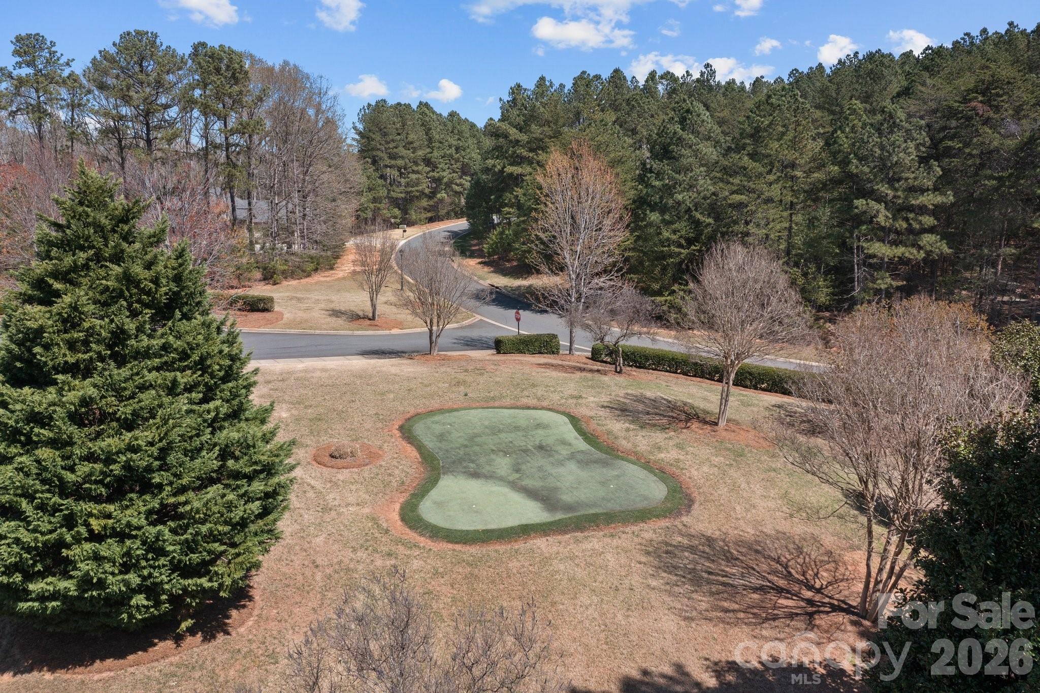 1036 Glade Spring Court Property Photo 13