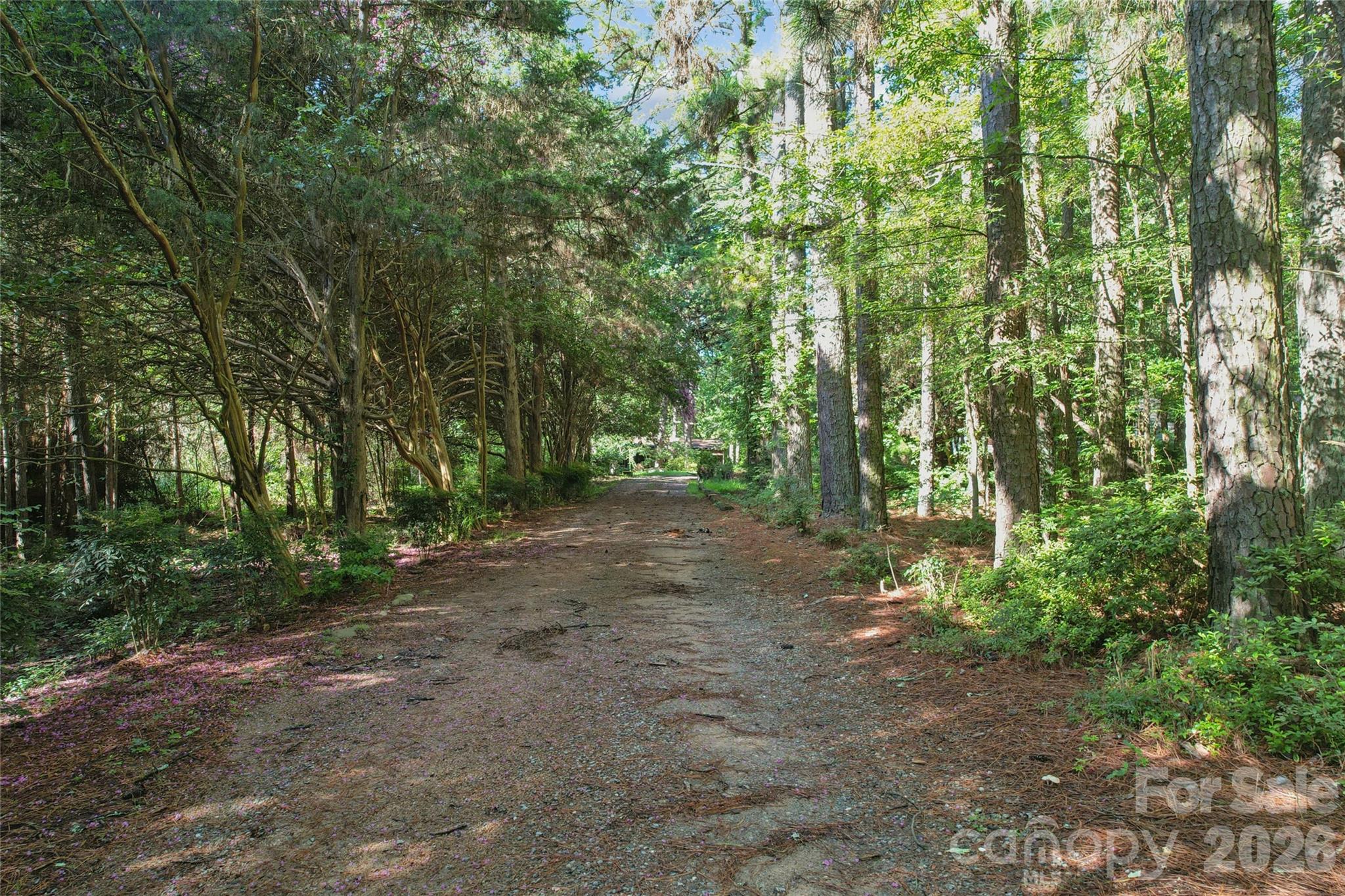 10505 Earnhardt Lake Road Property Photo 2