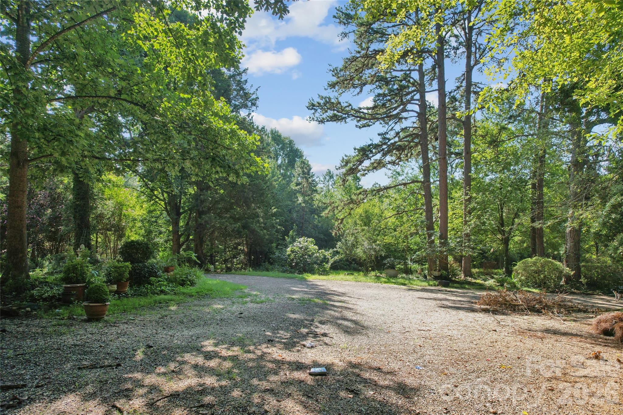 10505 Earnhardt Lake Road Property Photo 4