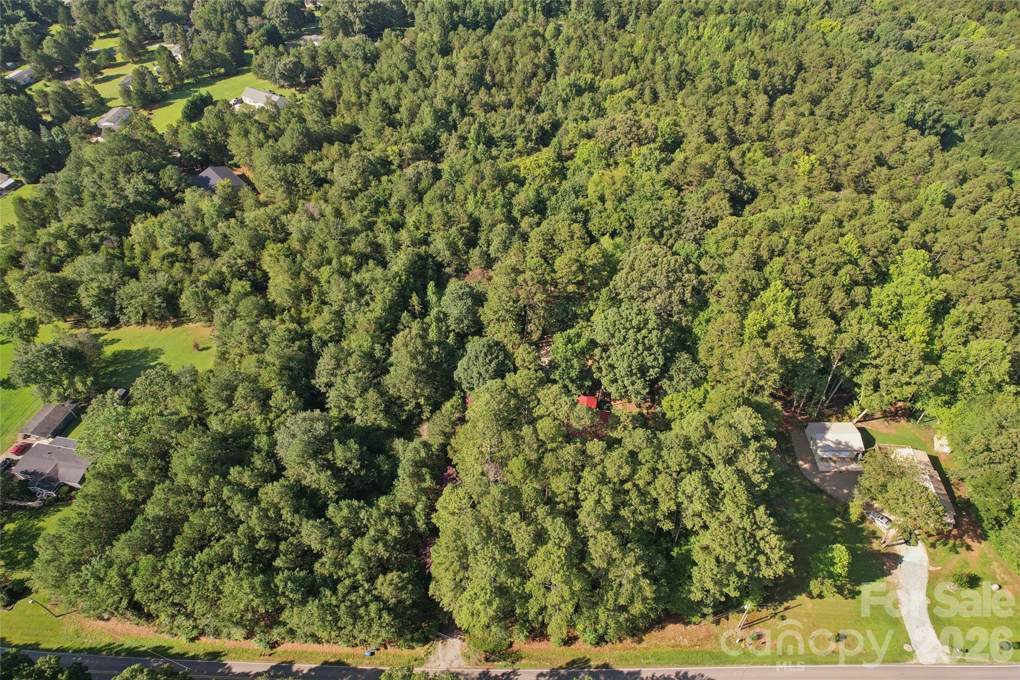 10505 Earnhardt Lake Road Property Photo 10