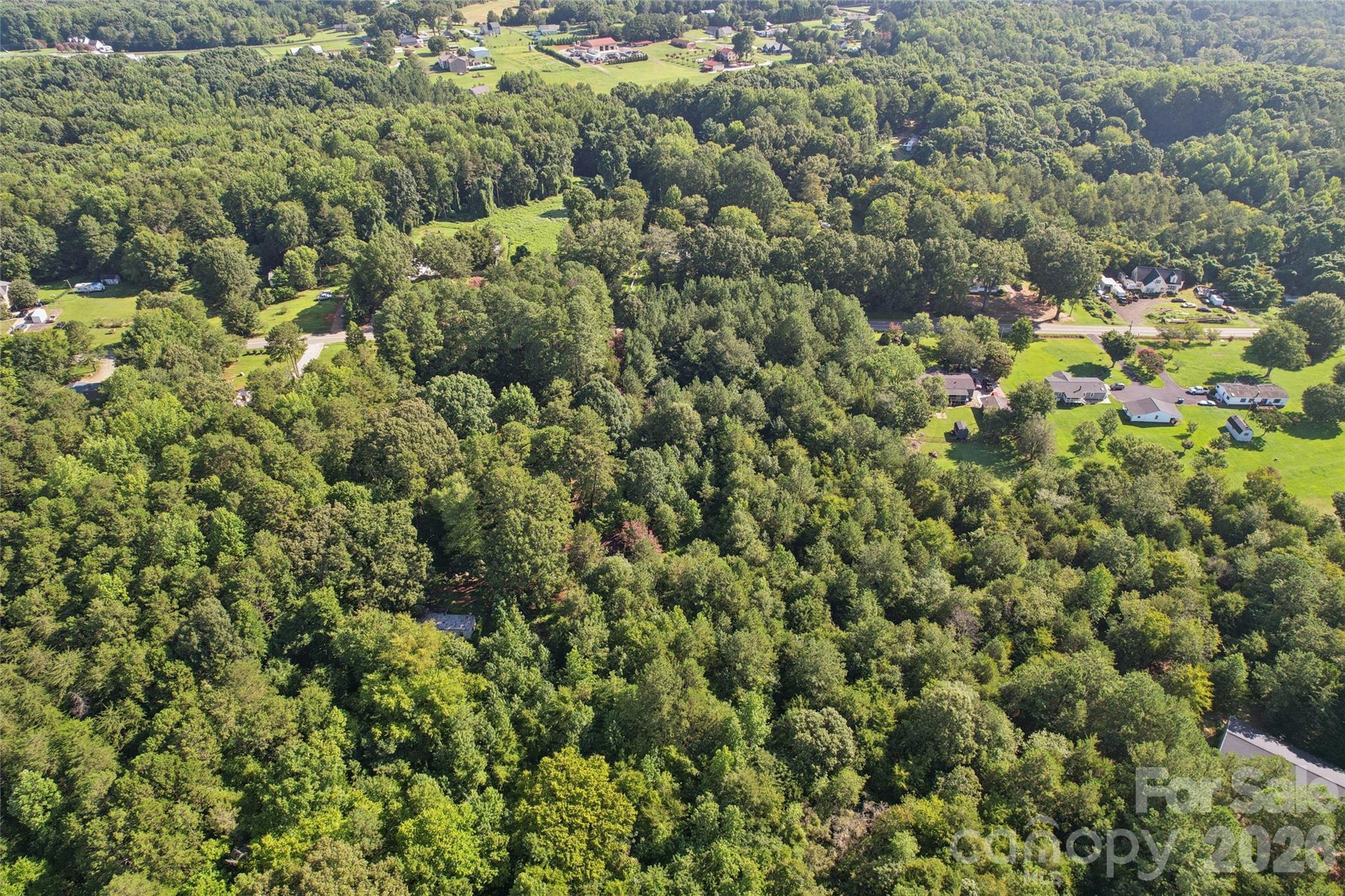 10505 Earnhardt Lake Road Property Photo 11