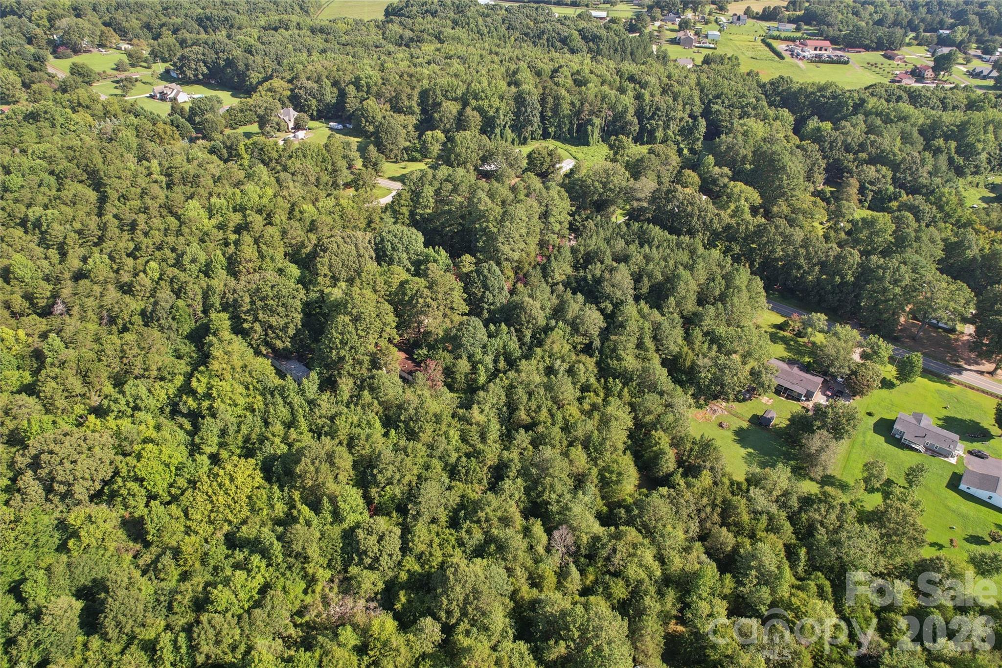 10505 Earnhardt Lake Road Property Photo 12