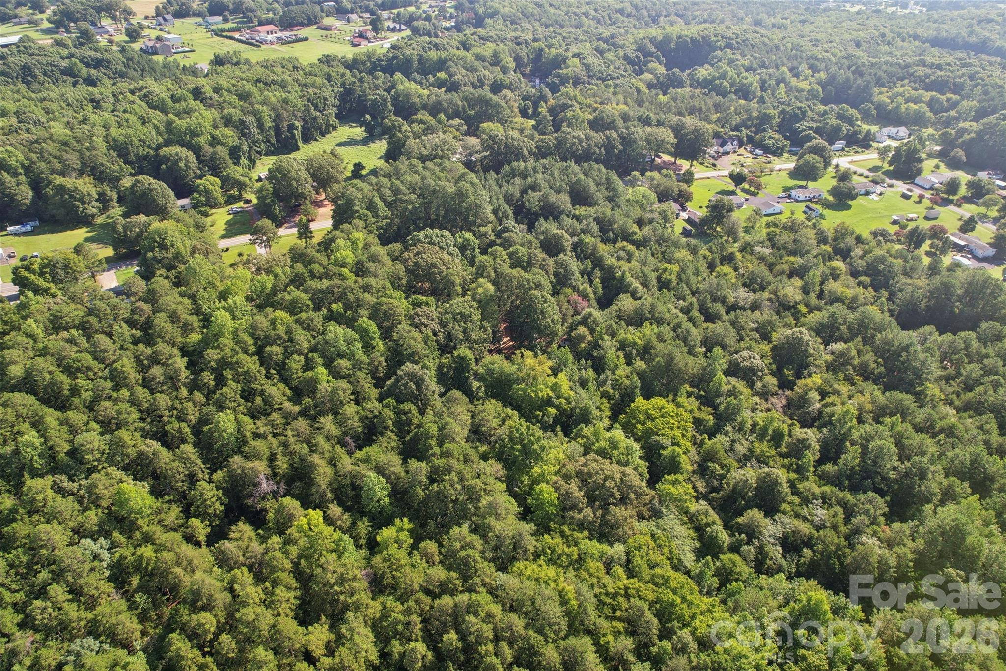 10505 Earnhardt Lake Road Property Photo 13