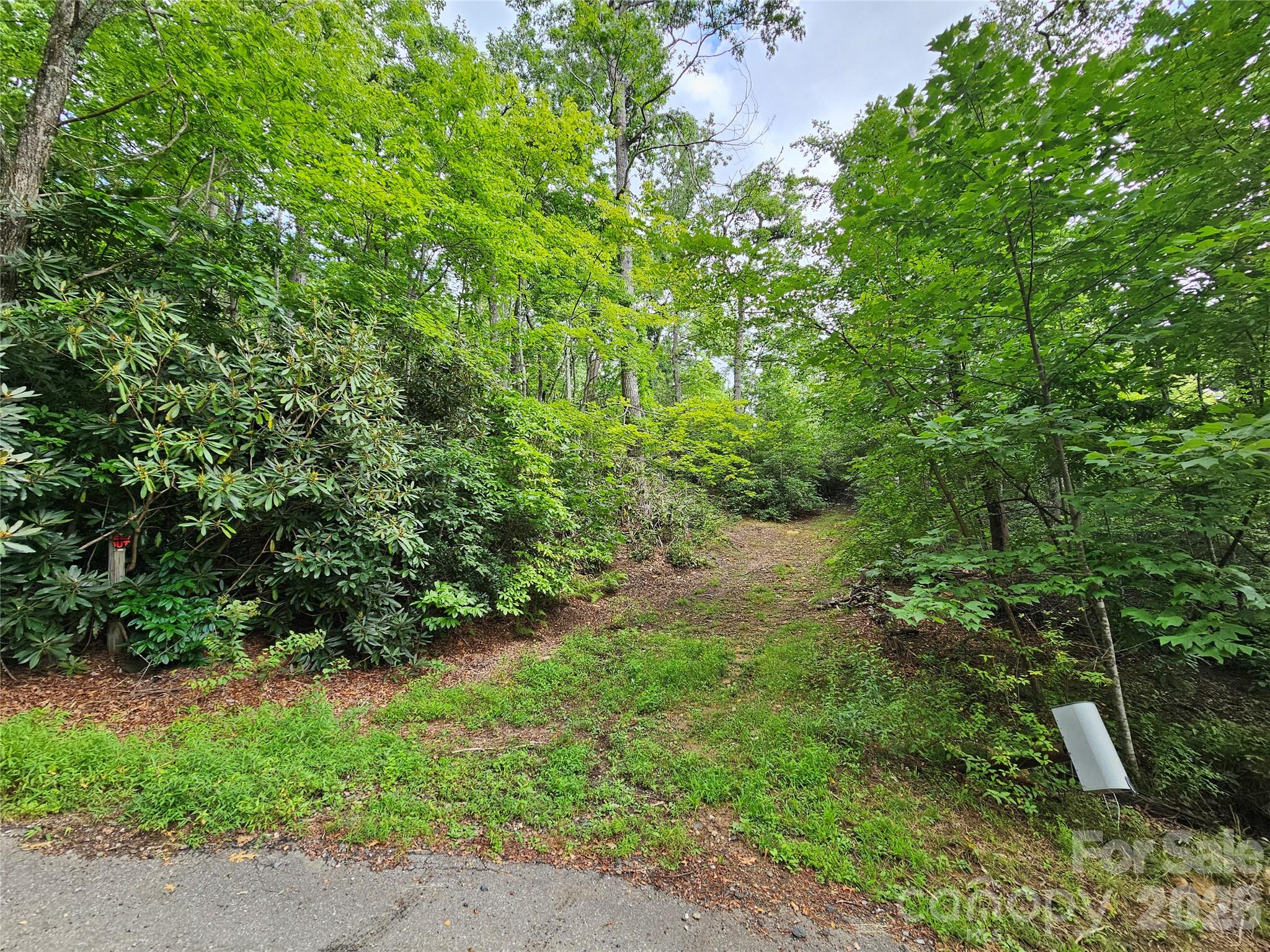 98 Down To Earth Drive 98 Property Photo 2