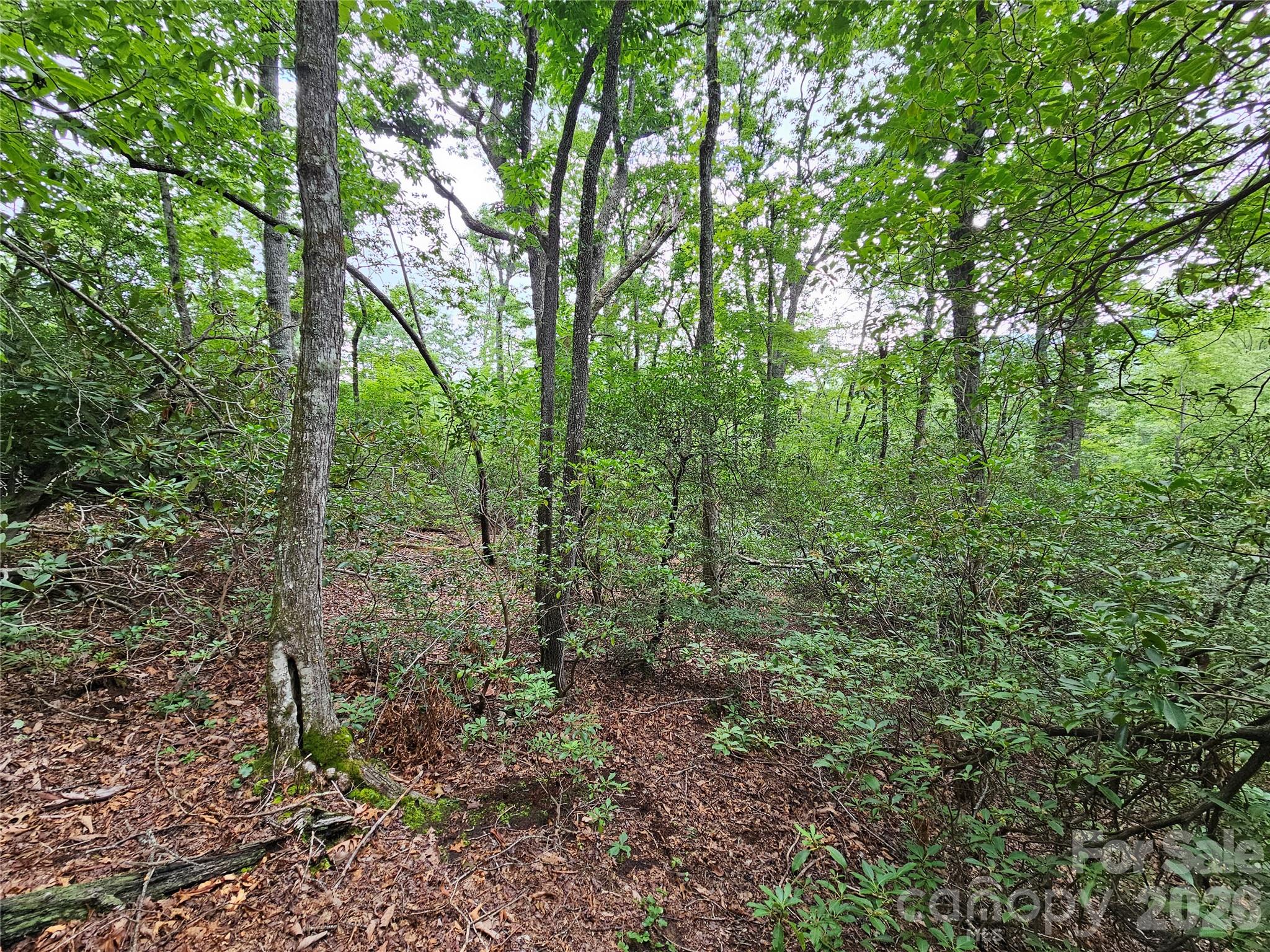 98 Down To Earth Drive 98 Property Photo 10