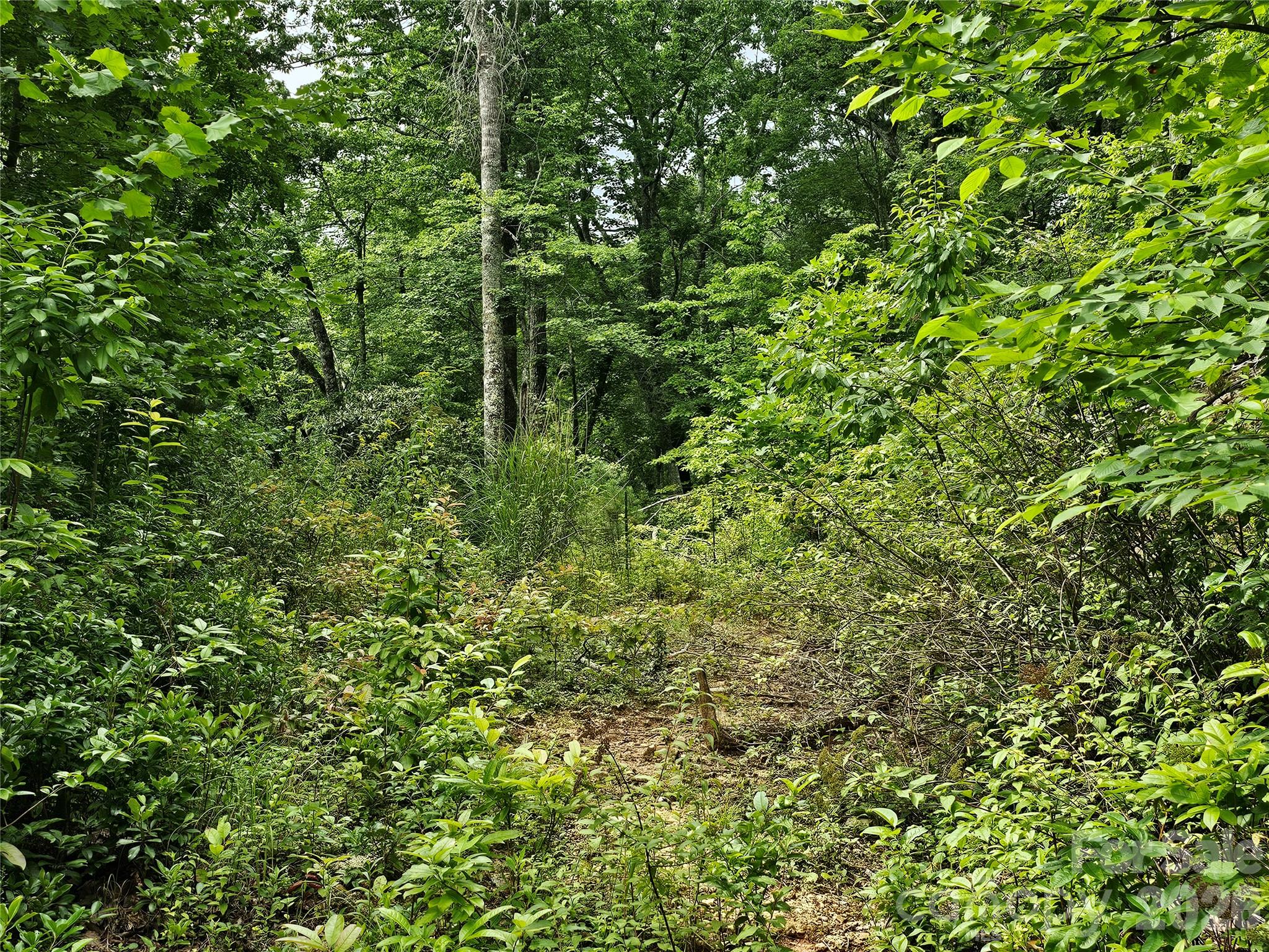 98 Down To Earth Drive 98 Property Photo 13