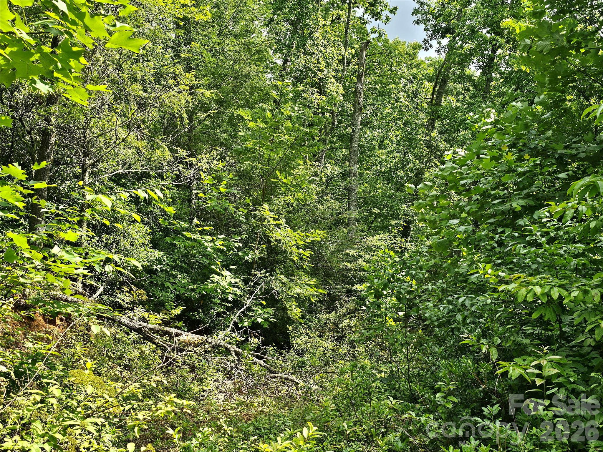 98 Down To Earth Drive 98 Property Photo 15
