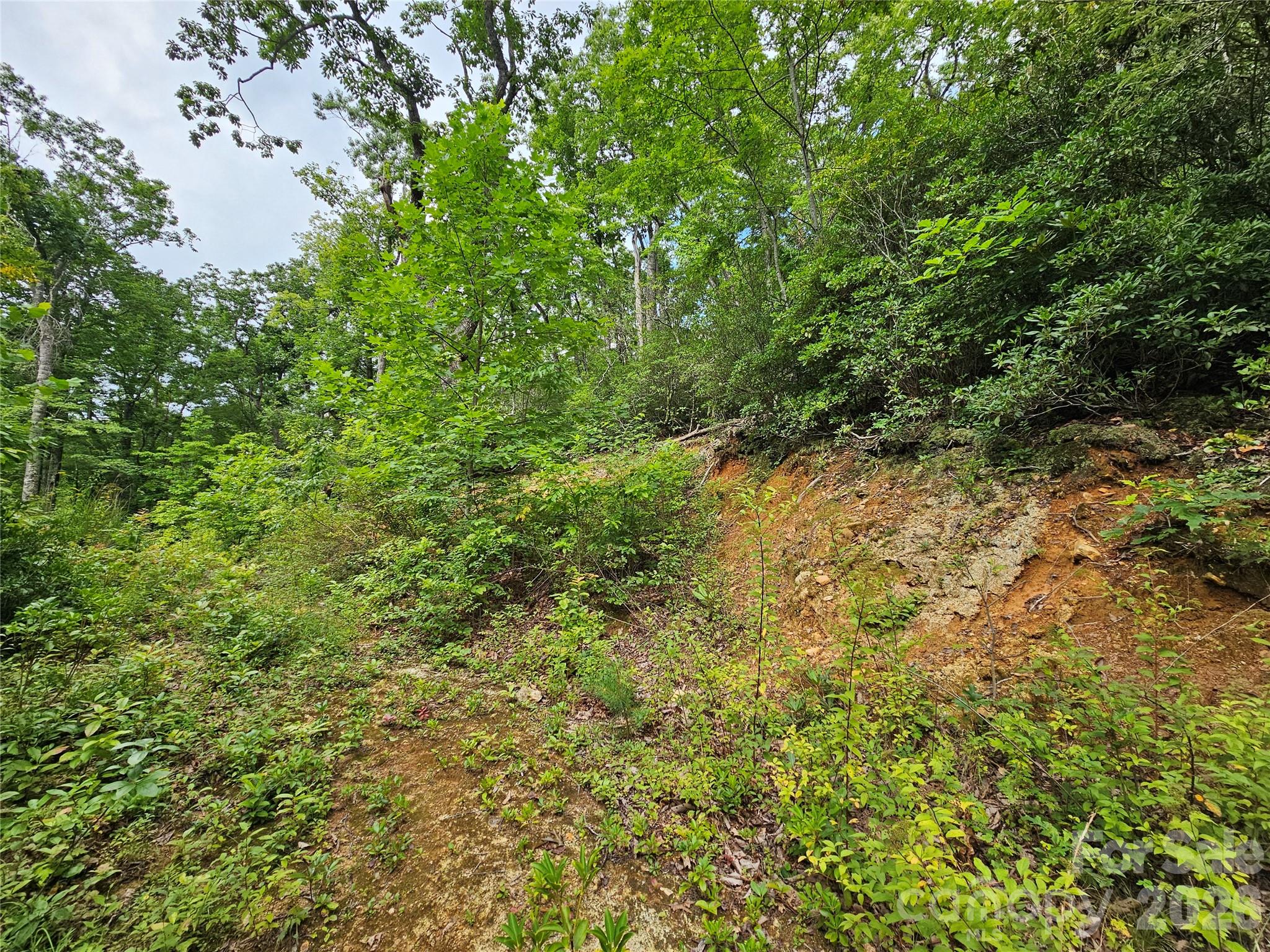 98 Down To Earth Drive 98 Property Photo 17