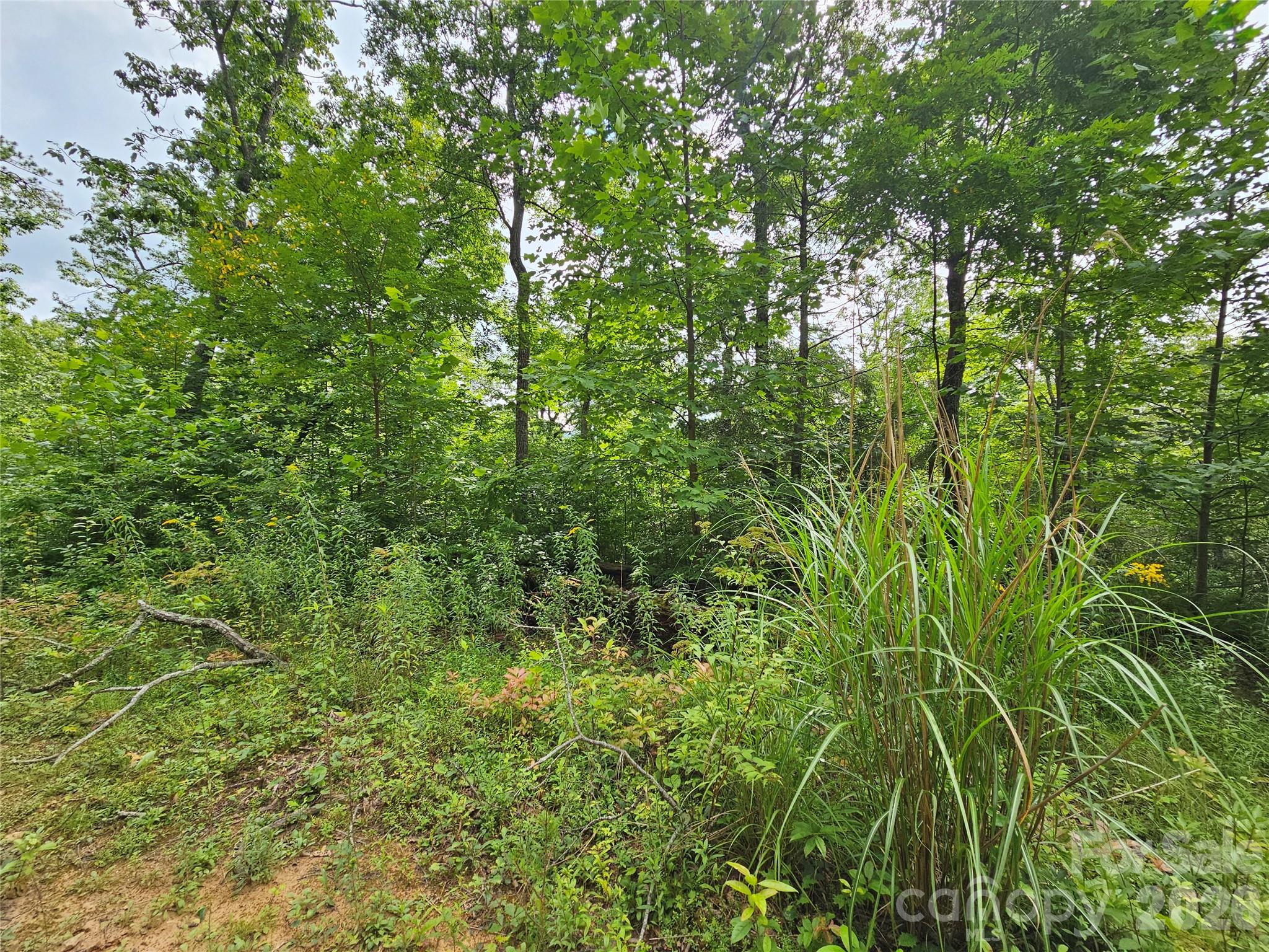 98 Down To Earth Drive 98 Property Photo 20