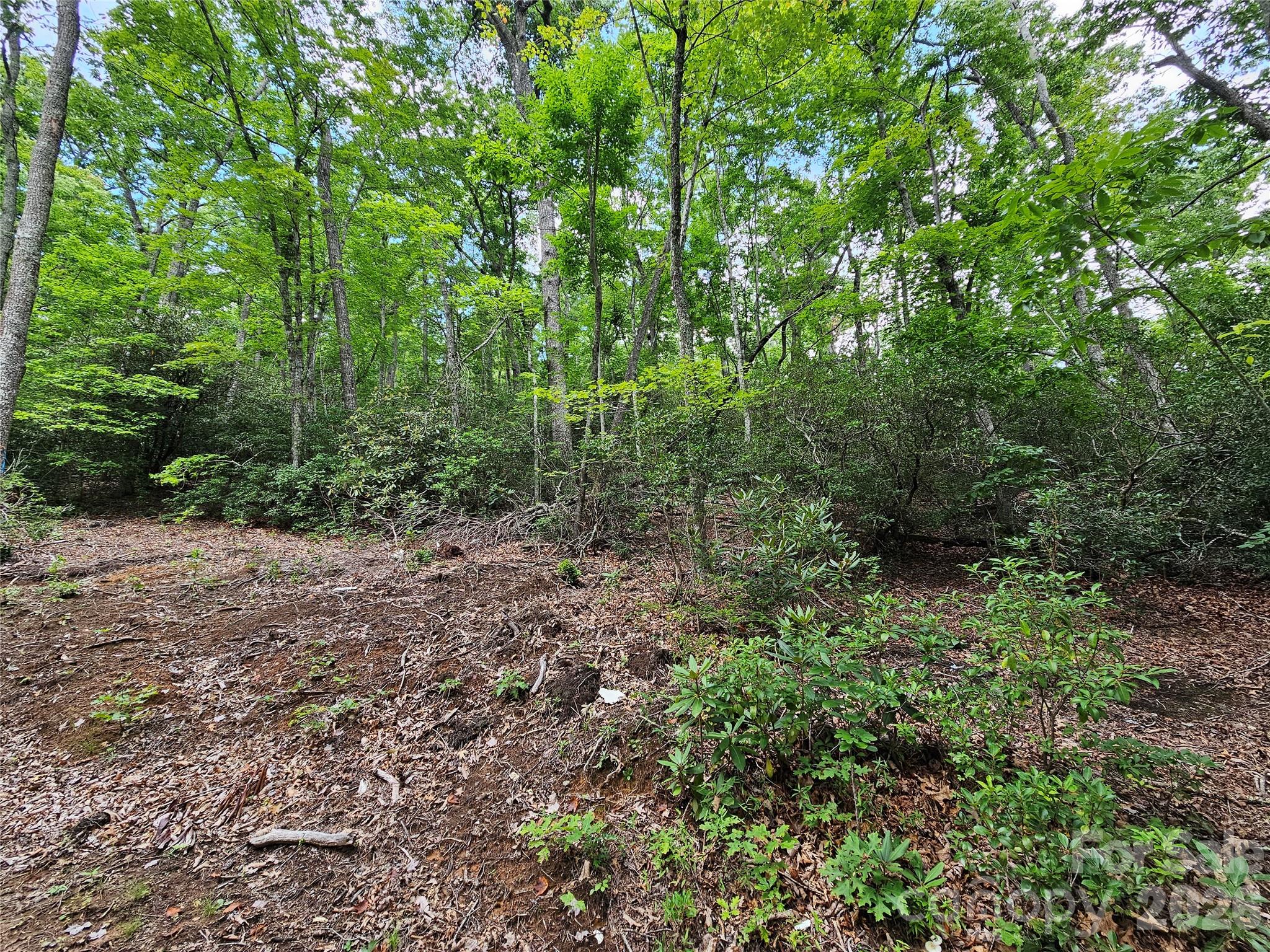 98 Down To Earth Drive 98 Property Photo 23