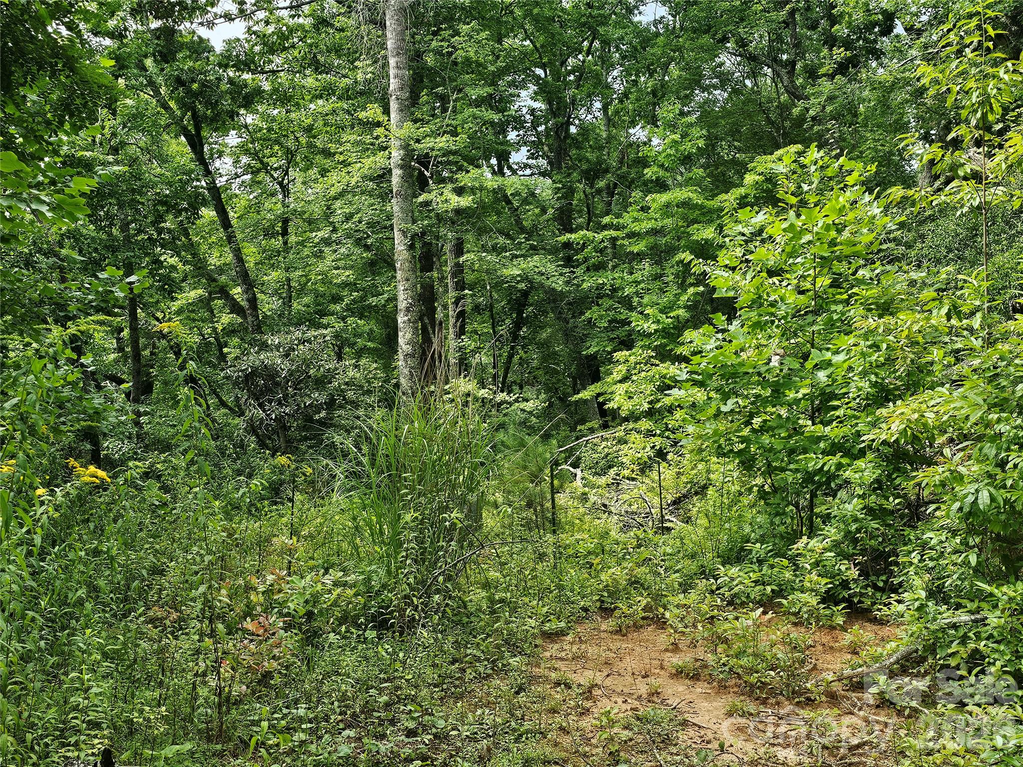98 Down To Earth Drive 98 Property Photo 25