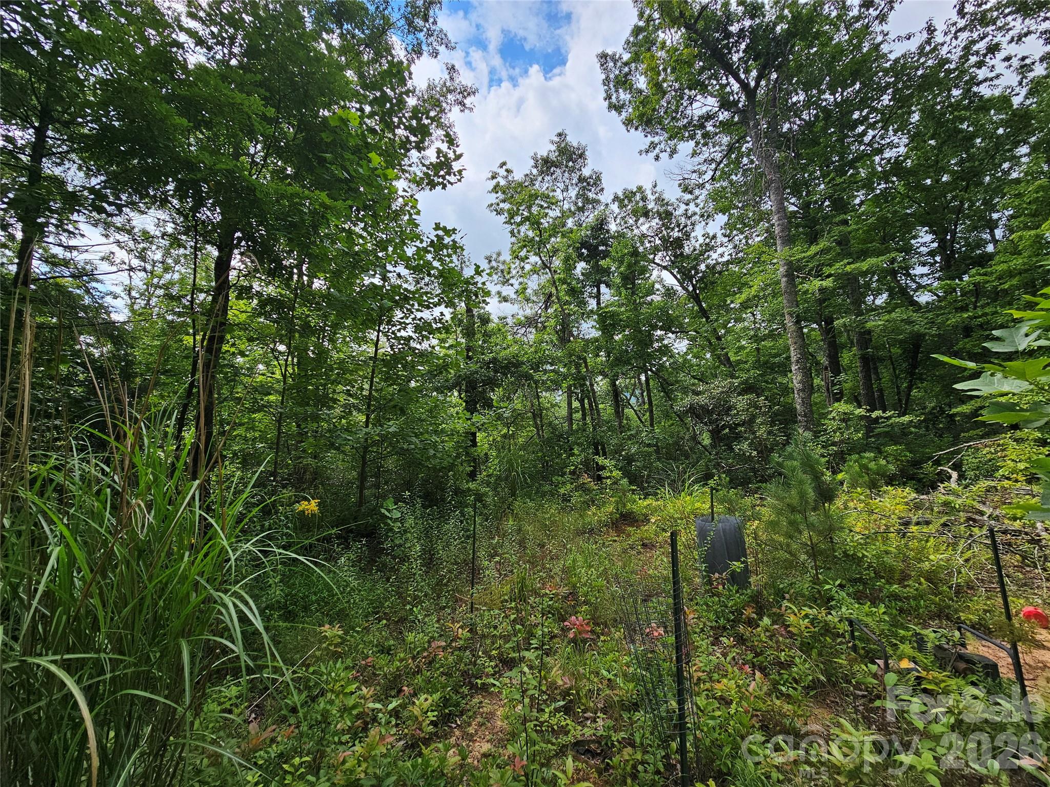 98 Down To Earth Drive 98 Property Photo 27