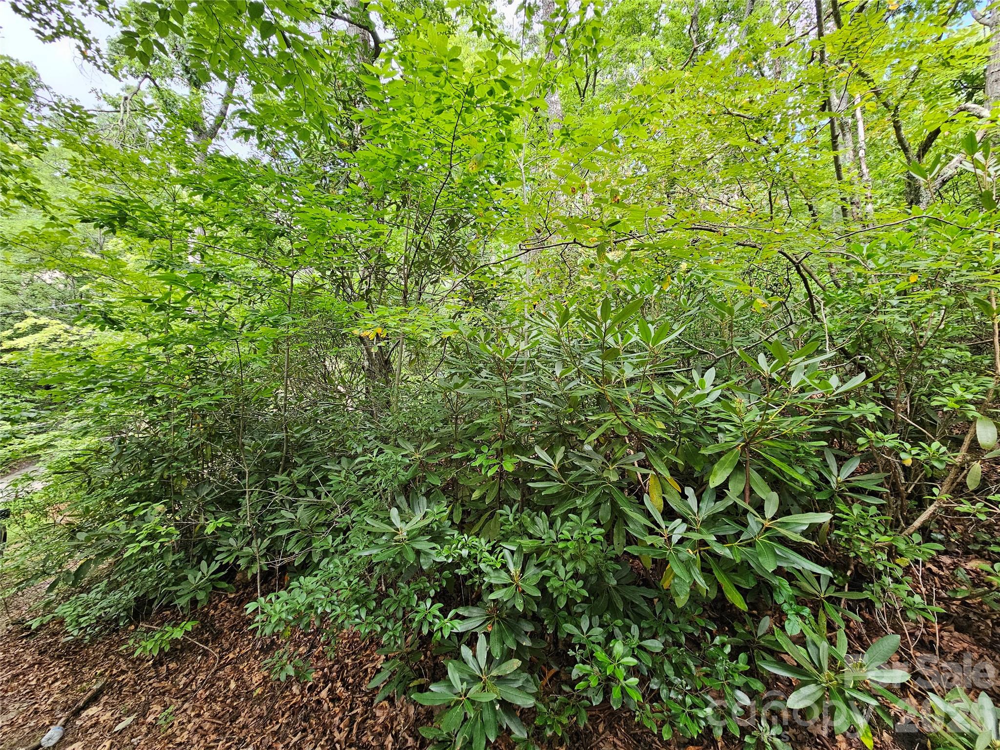 98 Down To Earth Drive 98 Property Photo 30