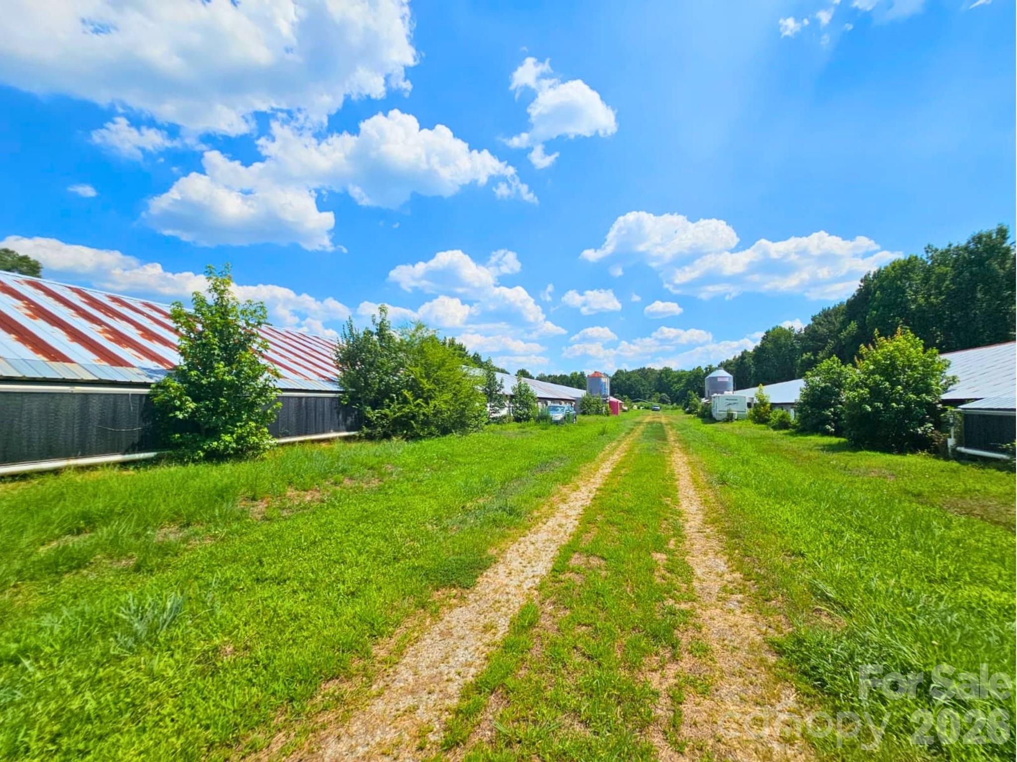 3145 Upper White Store Road 381 Property Photo 3